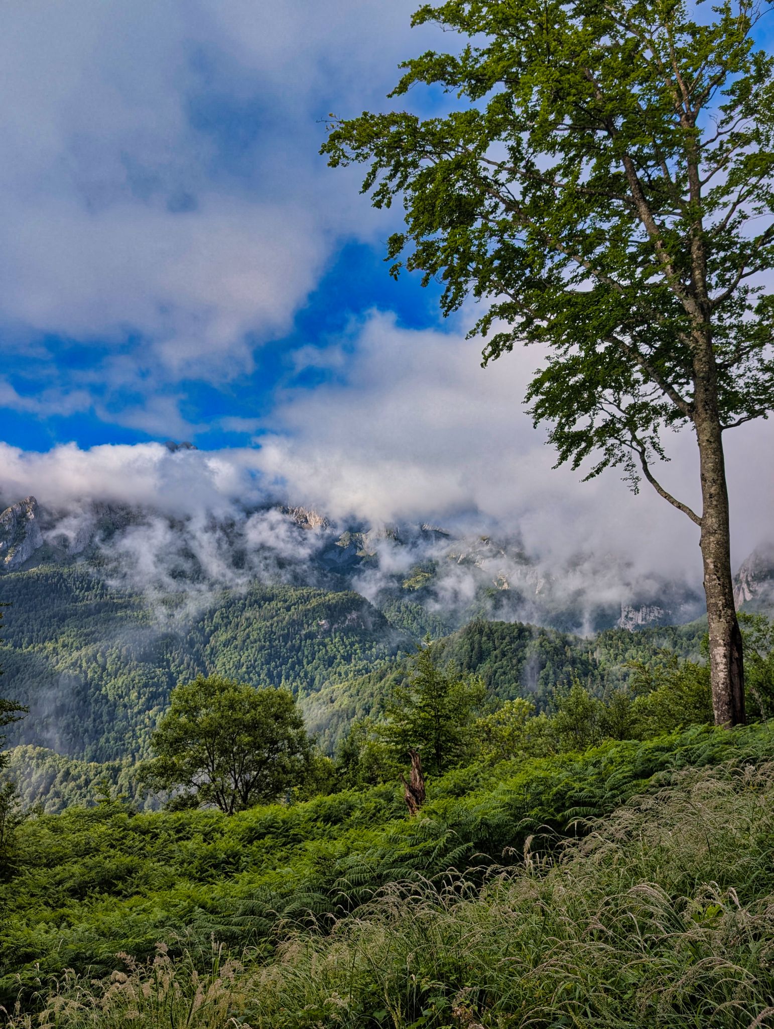 PXL 20250708 070016417