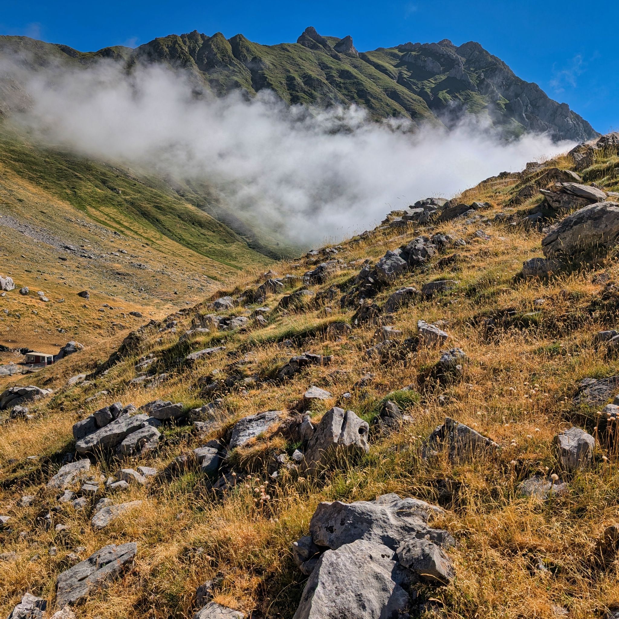 PXL 20250708 084004855