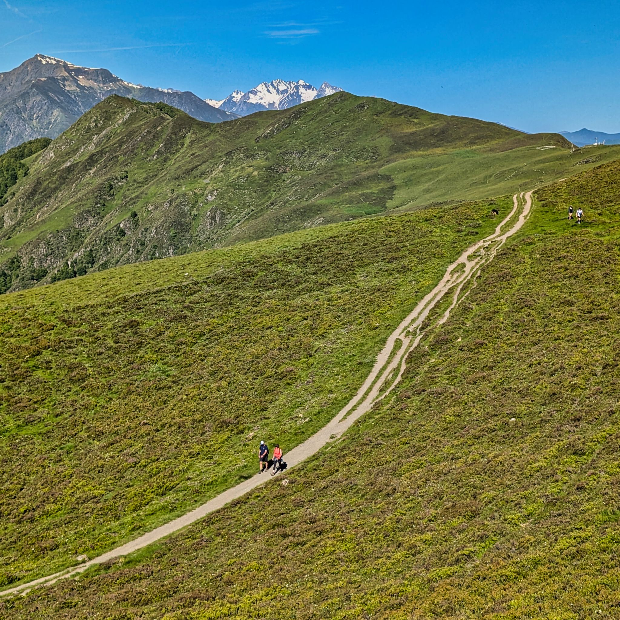 PXL 20250529 075813457