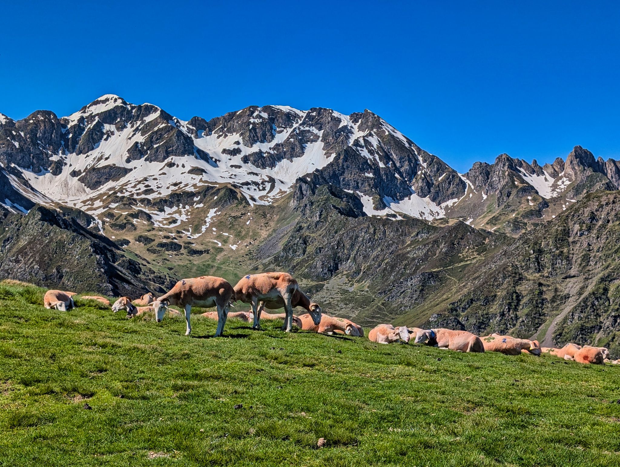 PXL 20250529 083626216