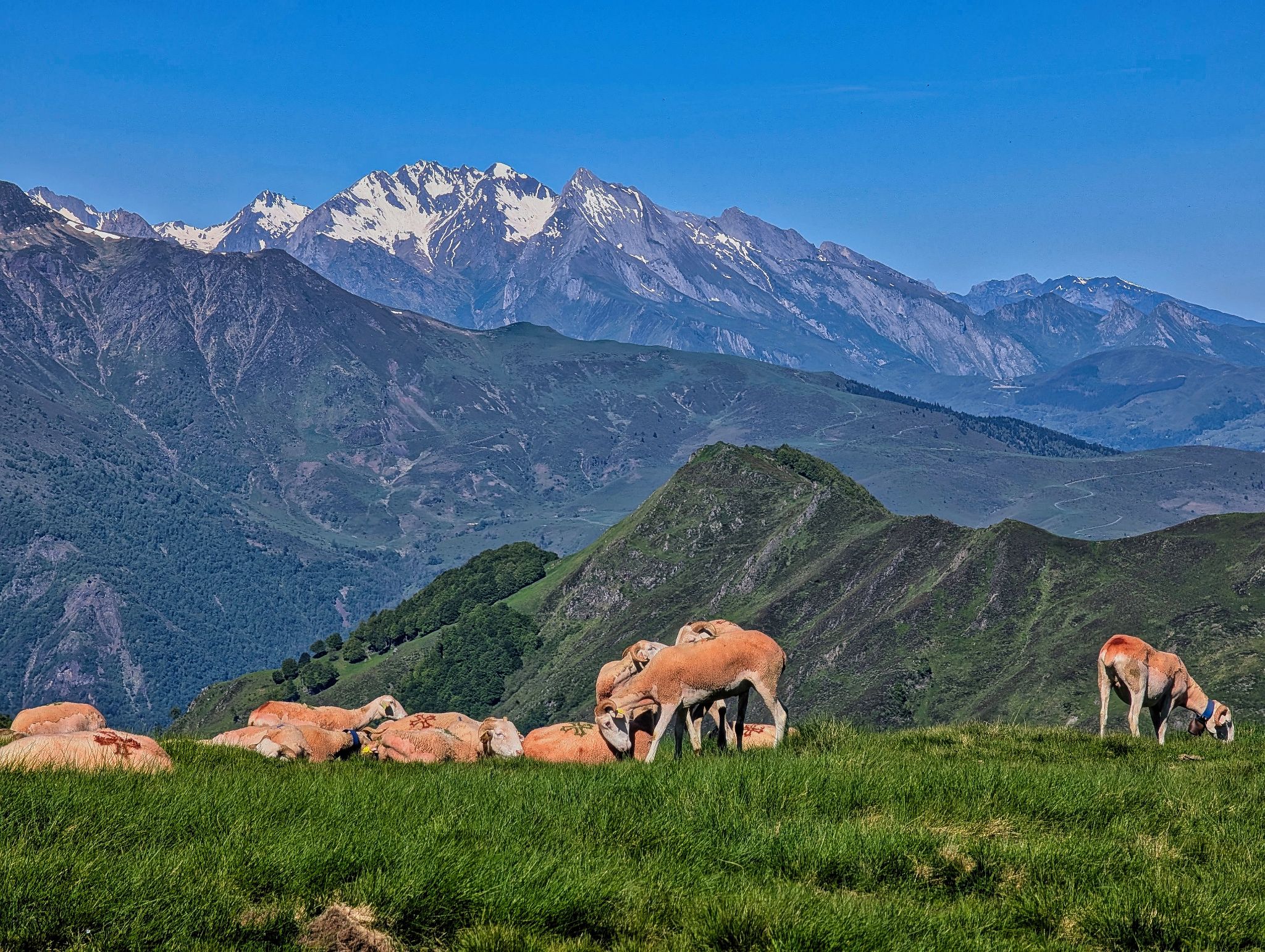 PXL 20250529 083632228~2