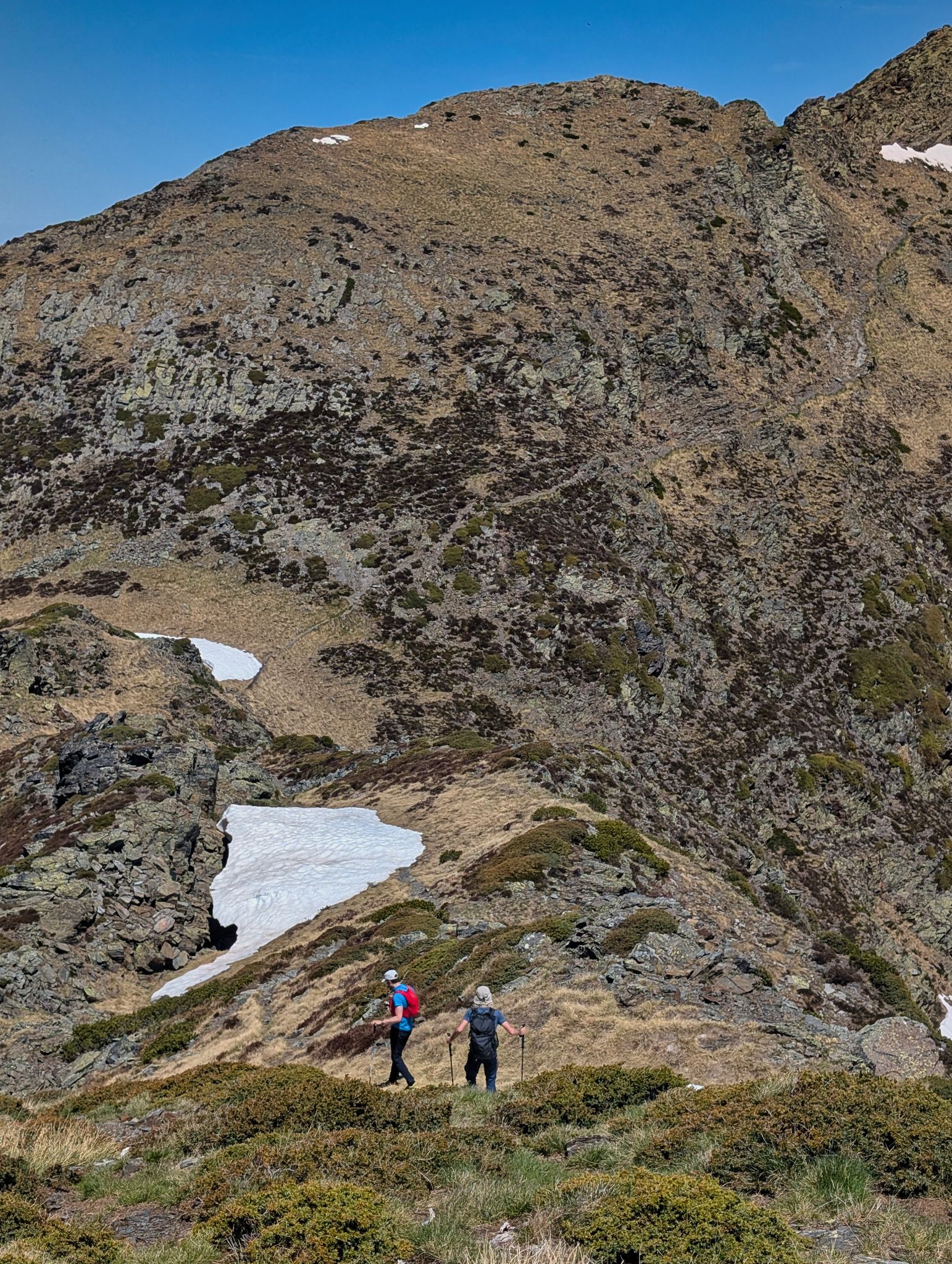 PXL 20250529 111403597