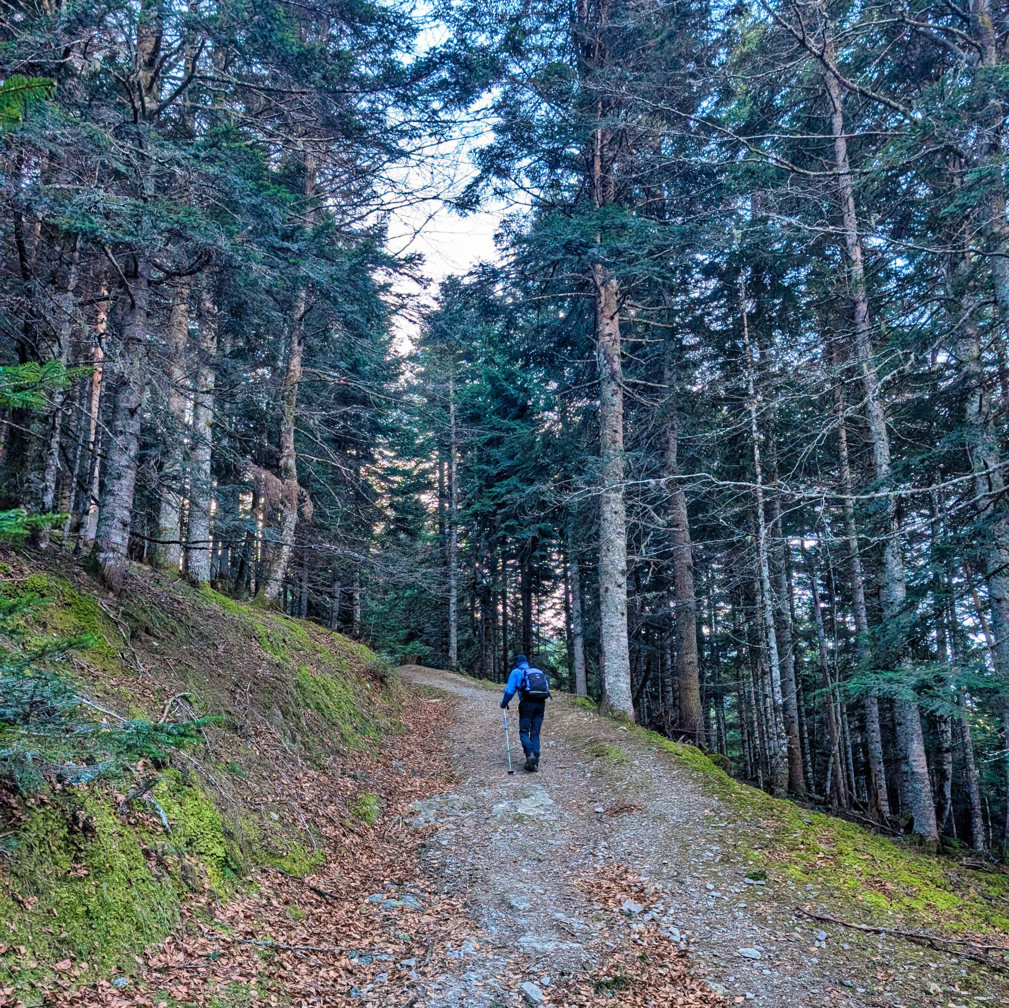 PXL 20250115 094029050