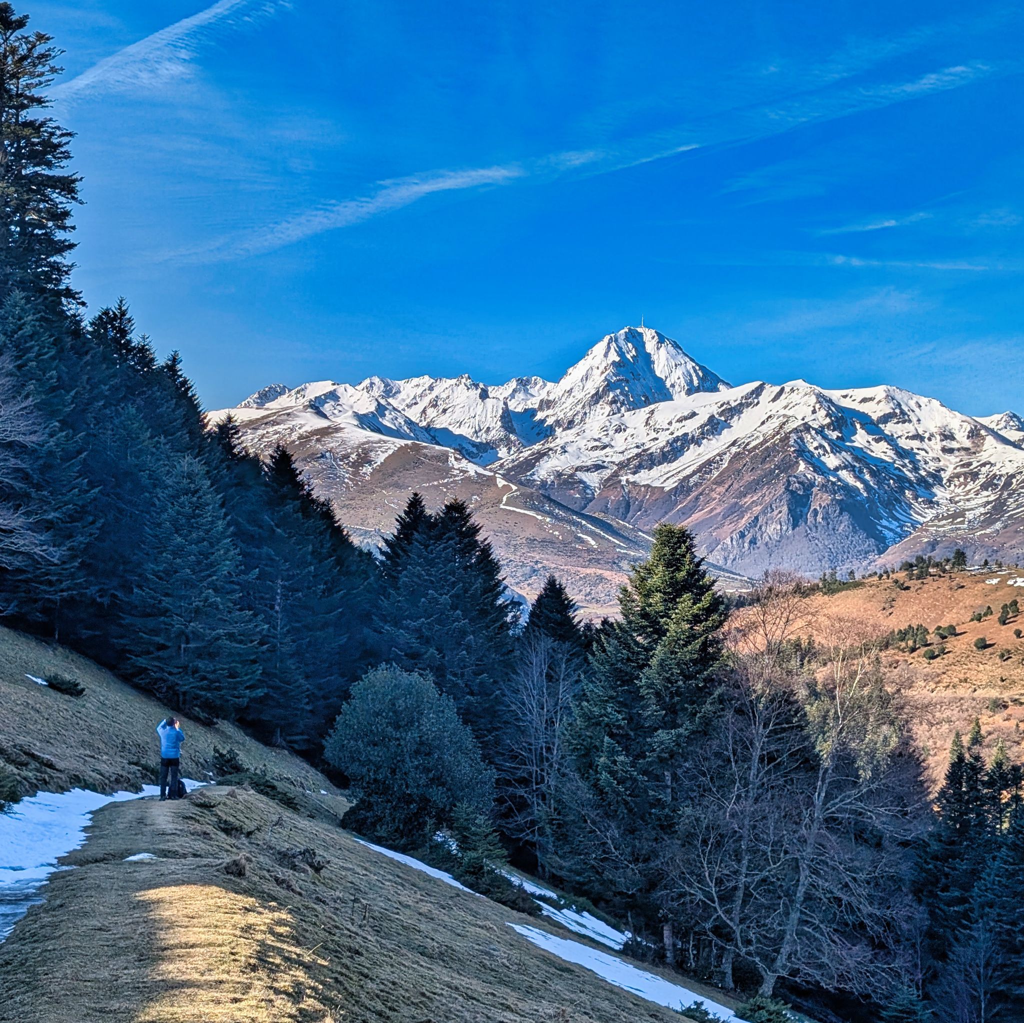 PXL 20250115 100416172