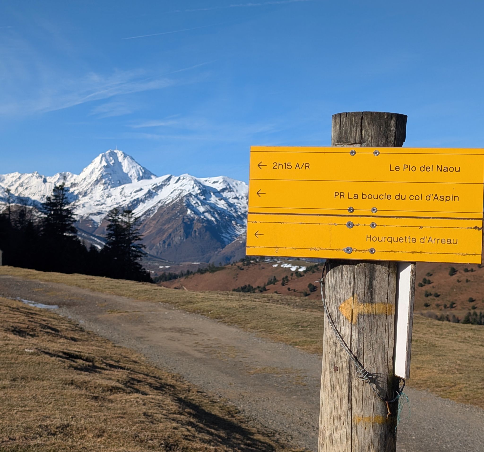 PXL 20250115 101155471