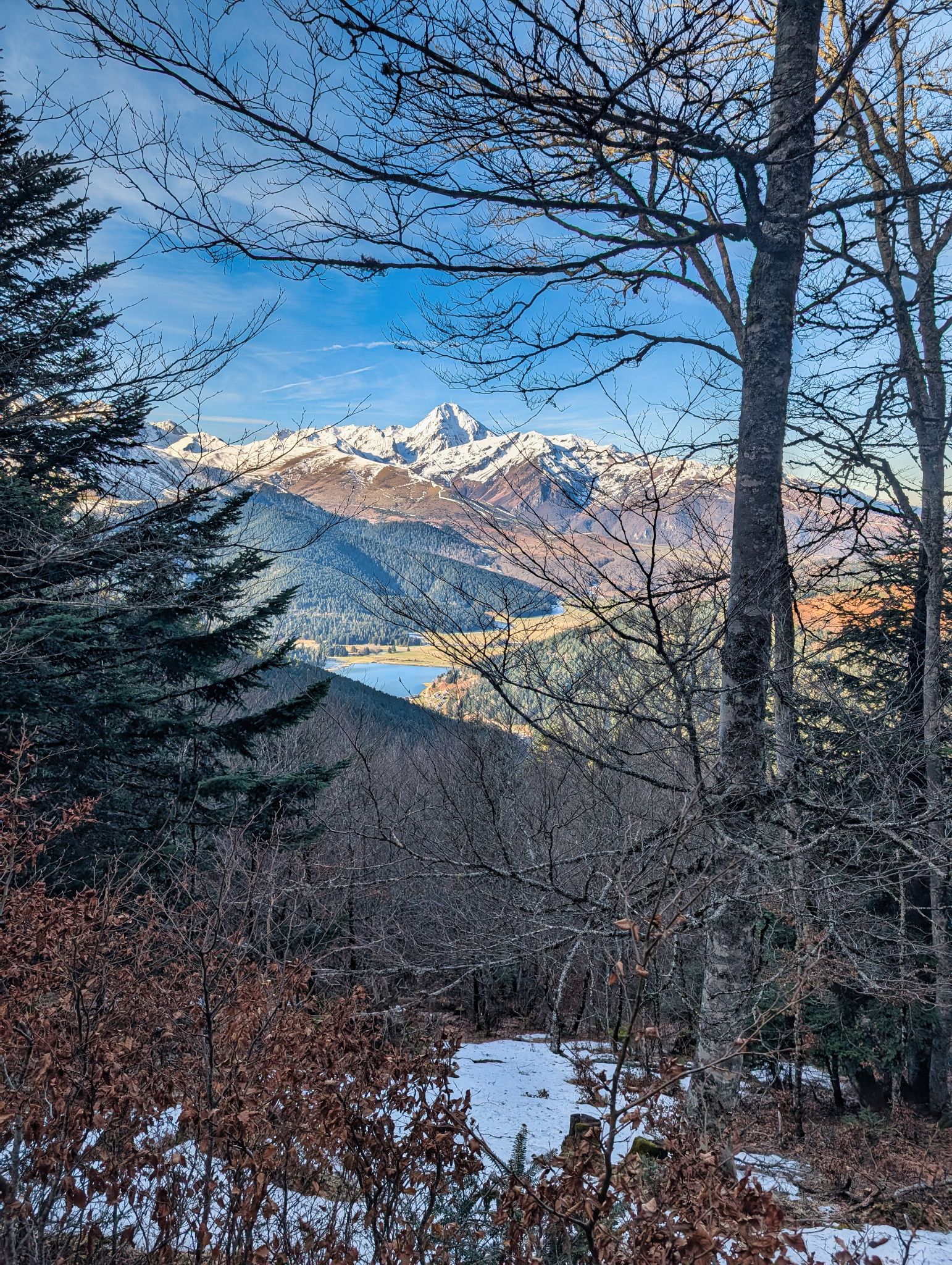 PXL 20250115 102903186