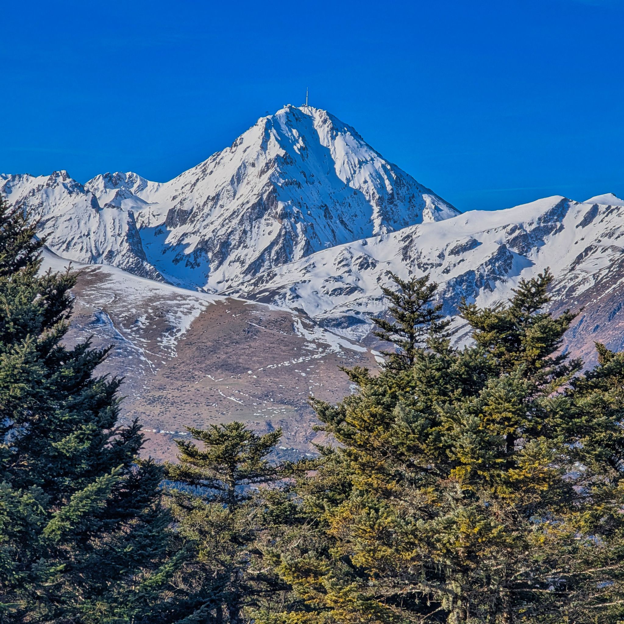 PXL 20250115 104143068