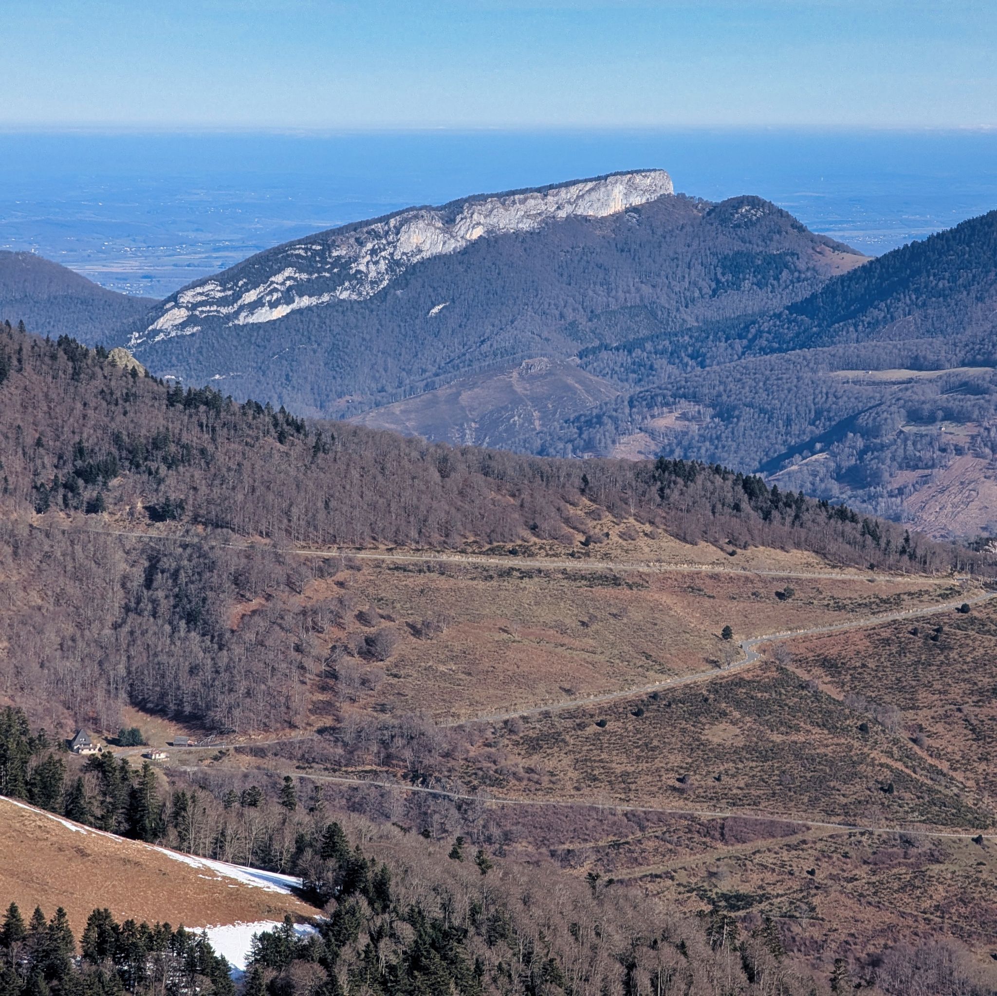 PXL 20250115 112332652