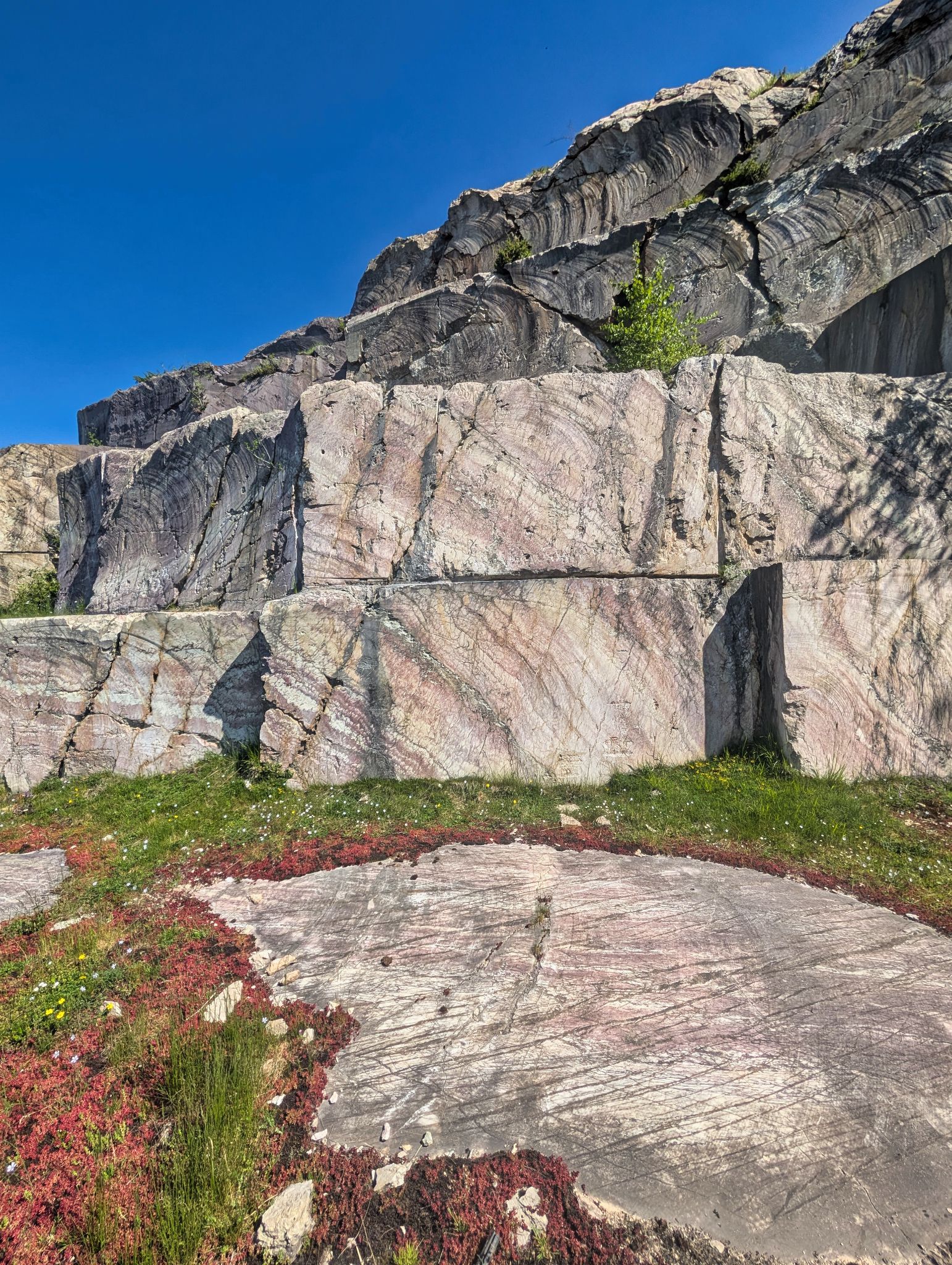 PXL 20250530 090516604