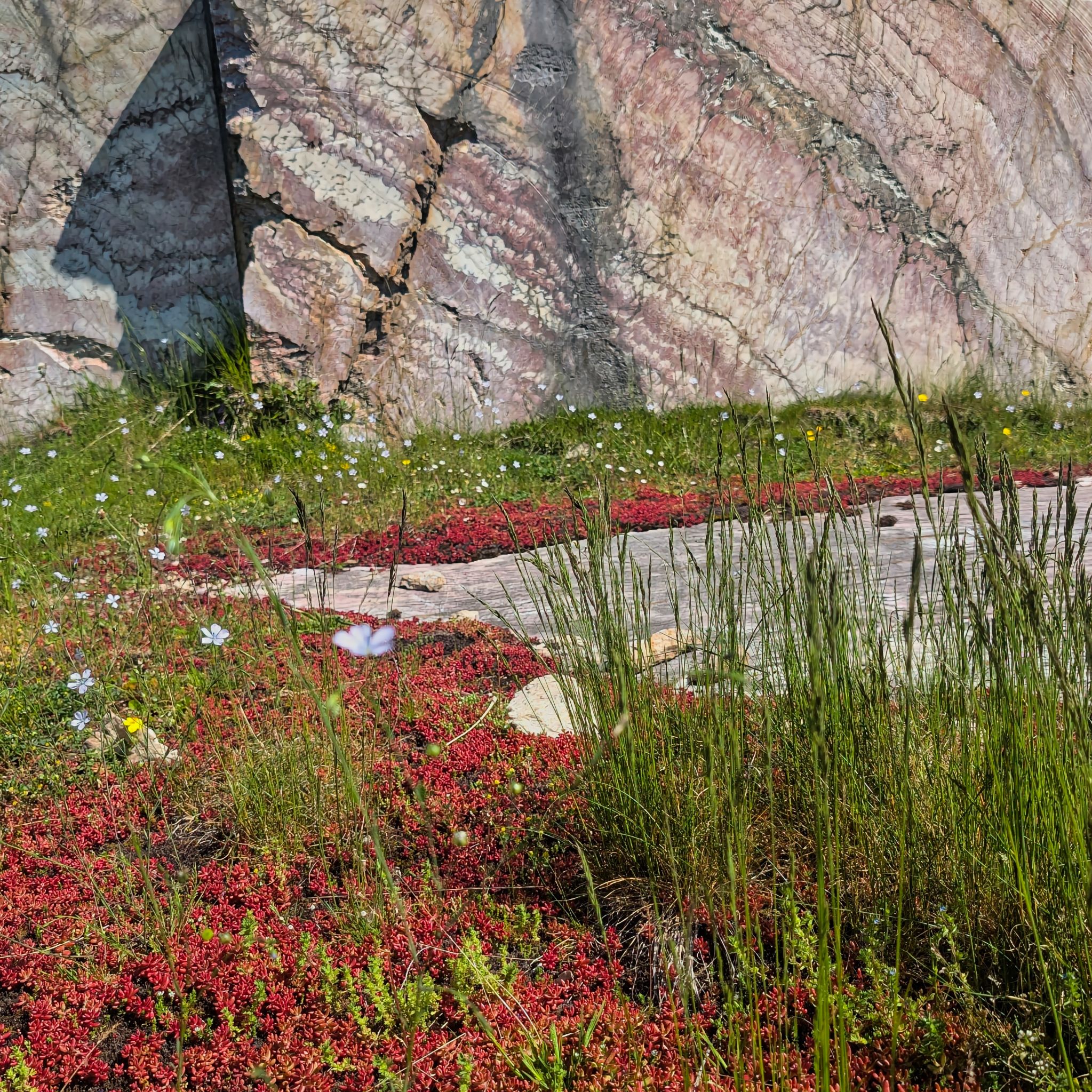 PXL 20250530 090547869.MP