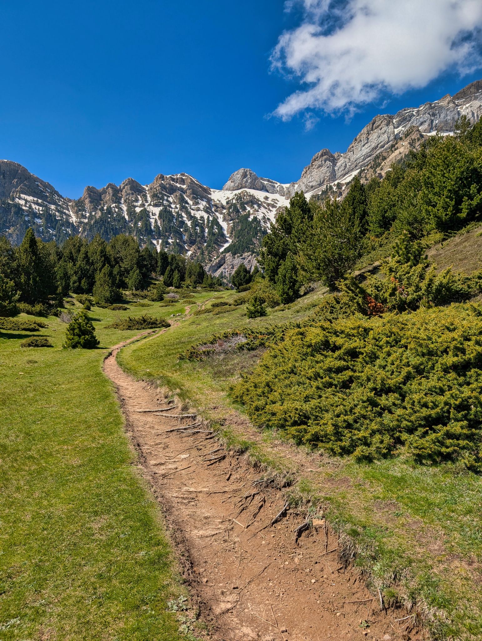 PXL 20250517 093908873