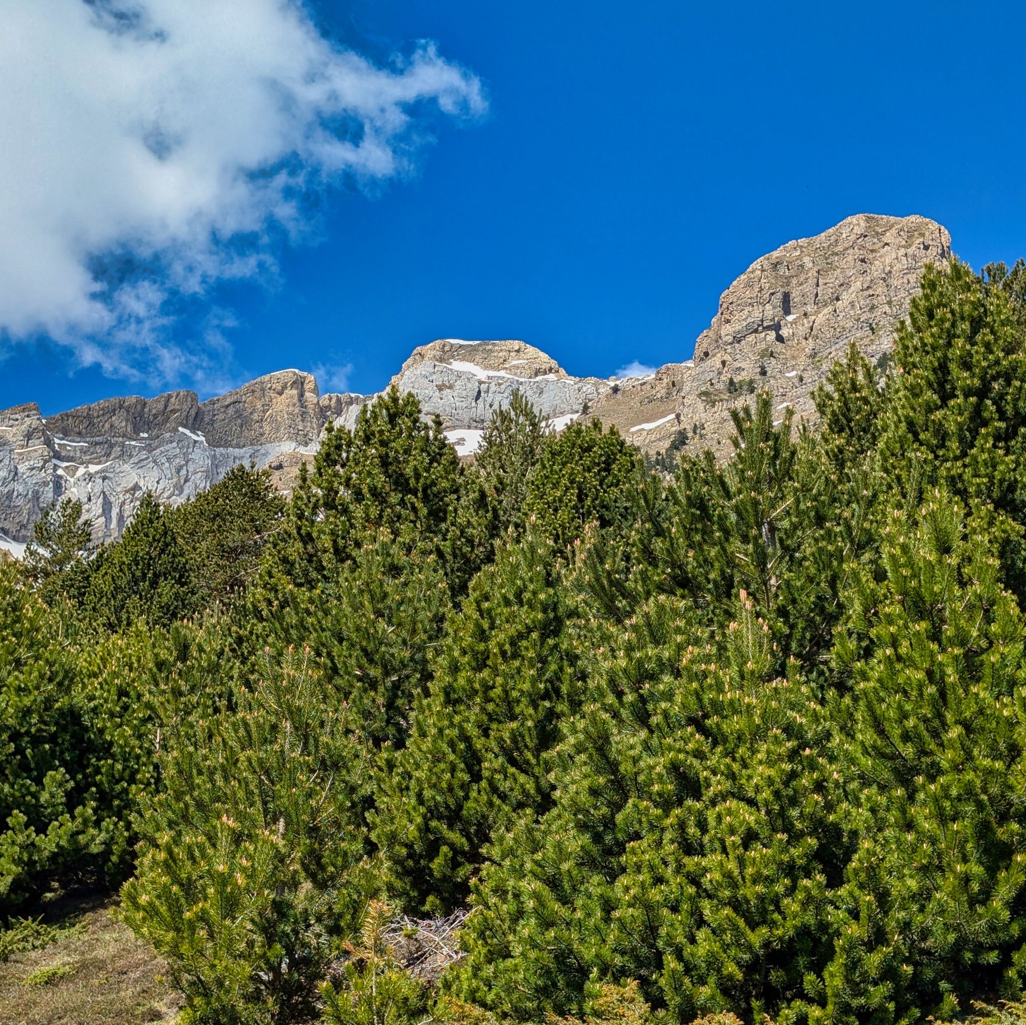 PXL 20250517 093929106