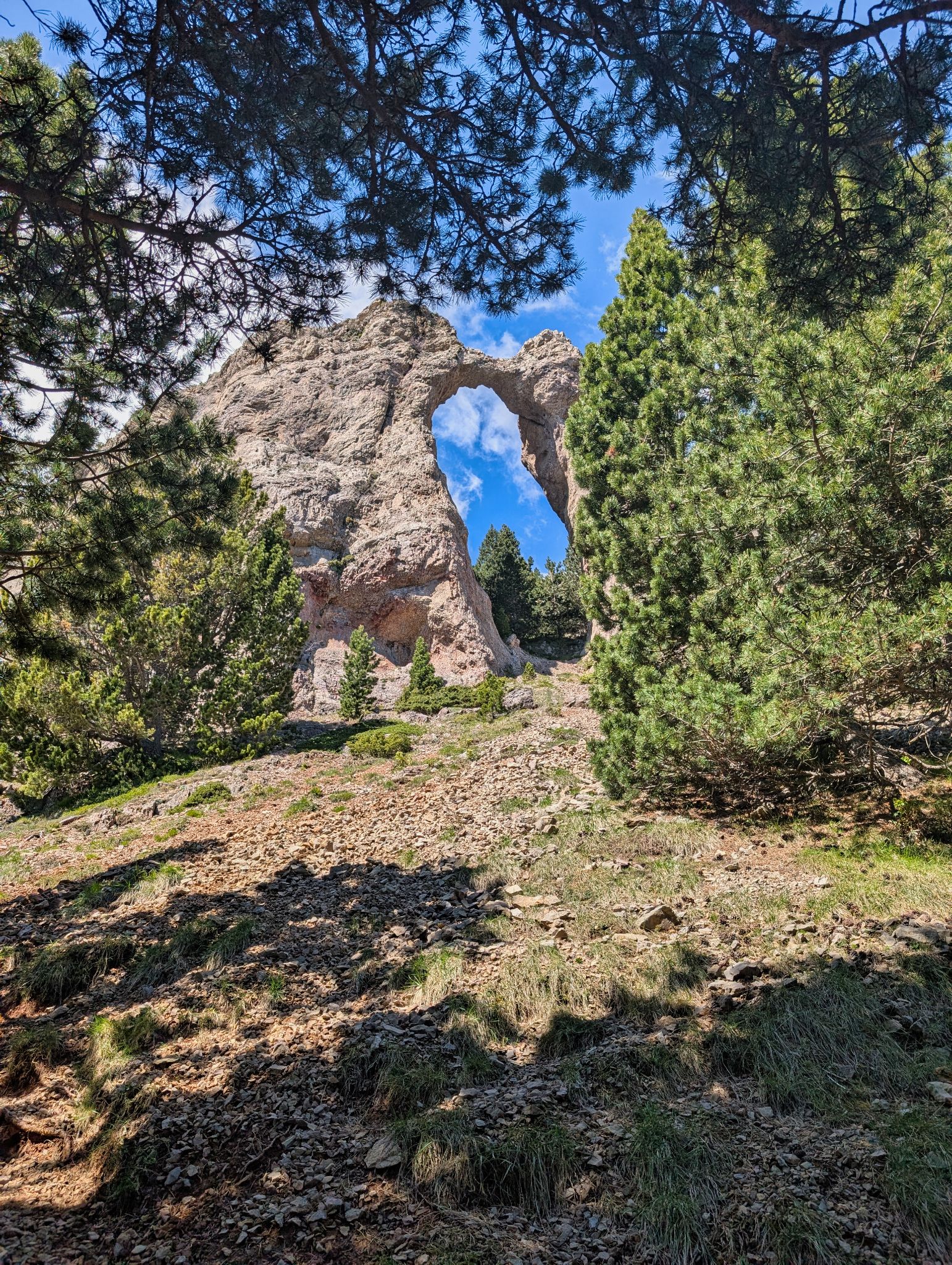 PXL 20250517 100232406