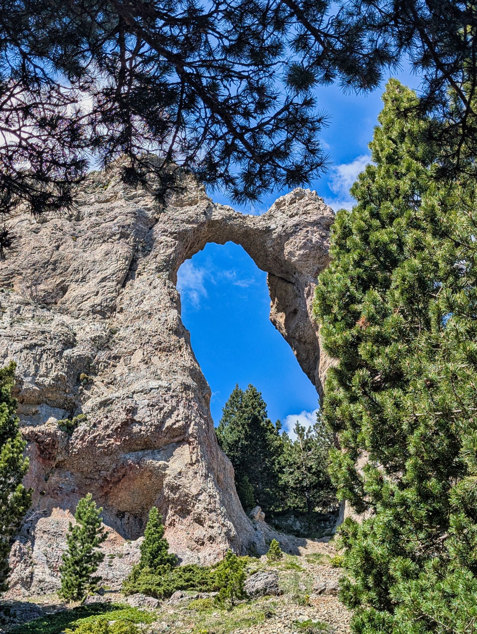 PXL 20250517 100339124