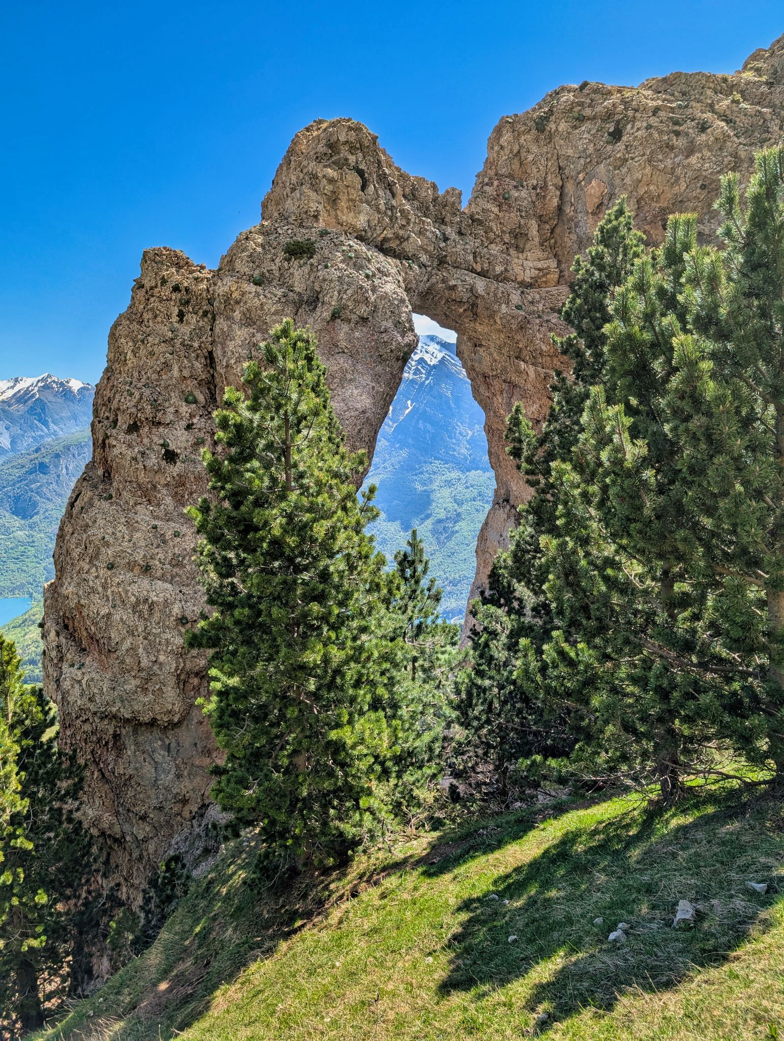 PXL 20250517 100910830