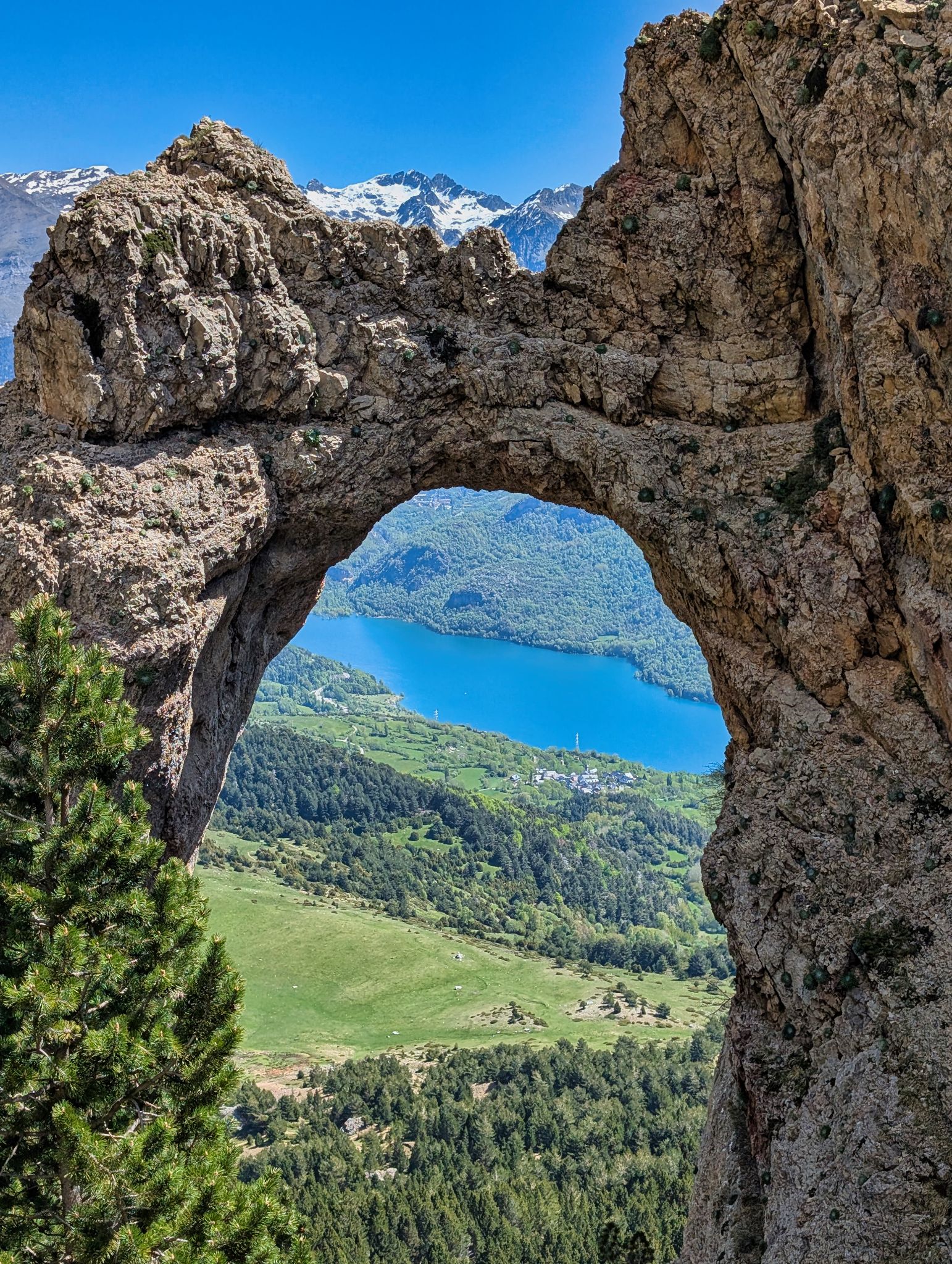 PXL 20250517 101015677