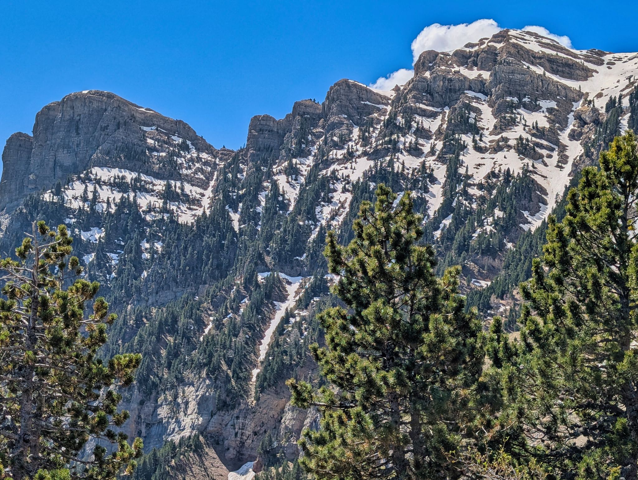 PXL 20250517 102437799