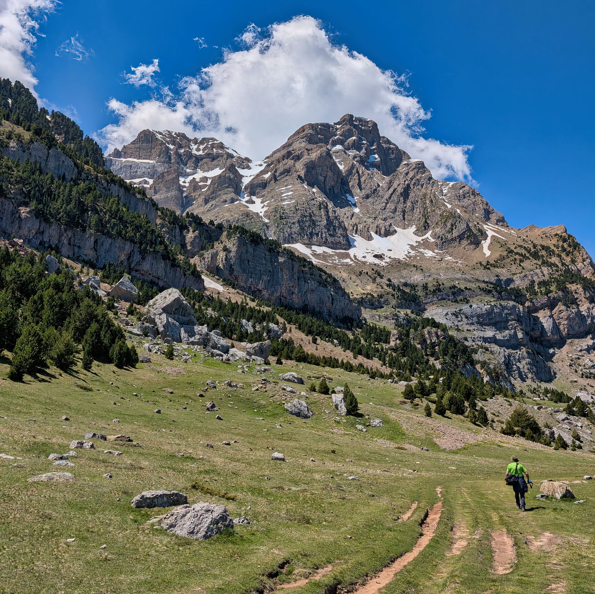 PXL 20250517 113217526