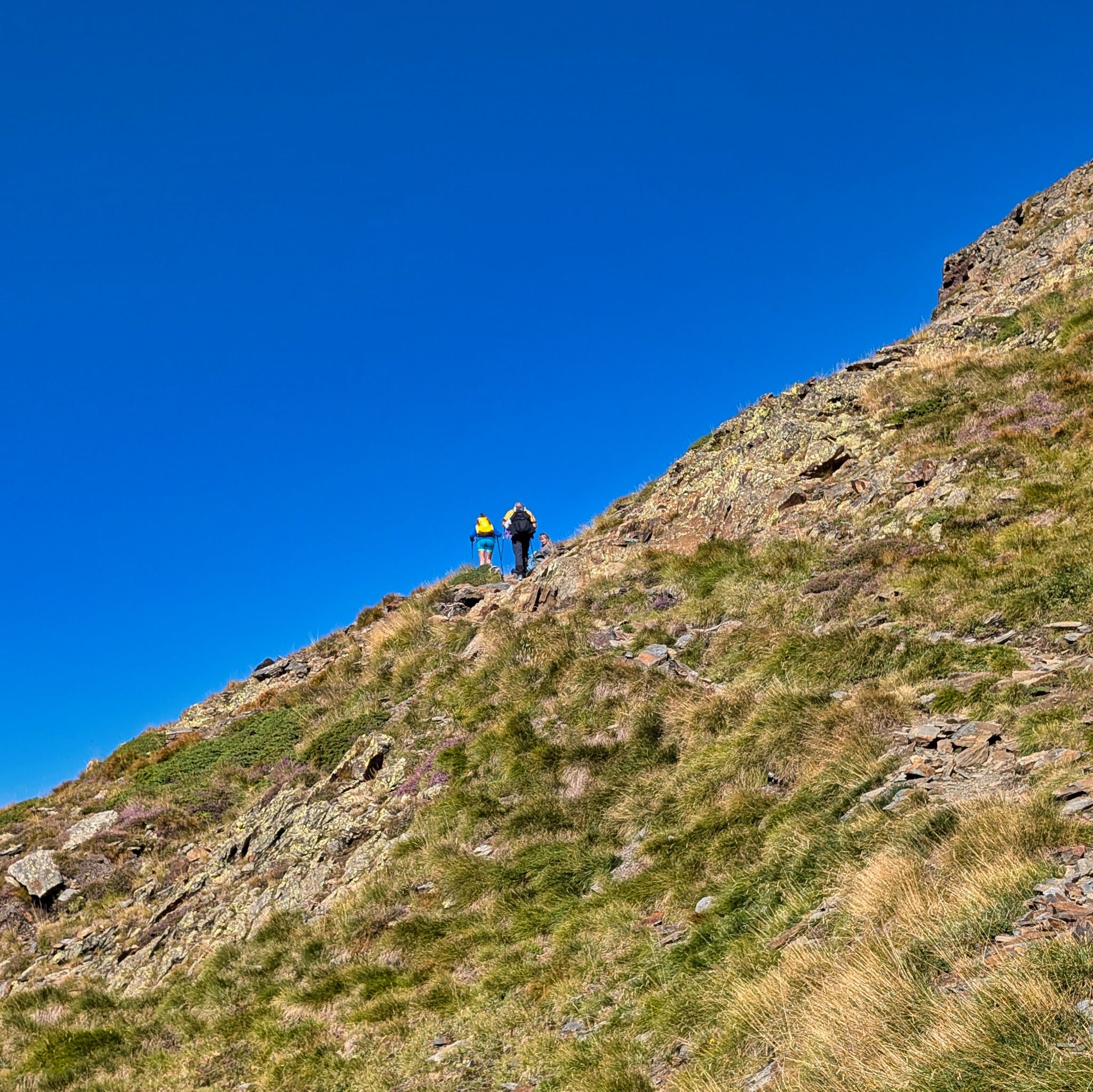 PXL 20250830 082531897