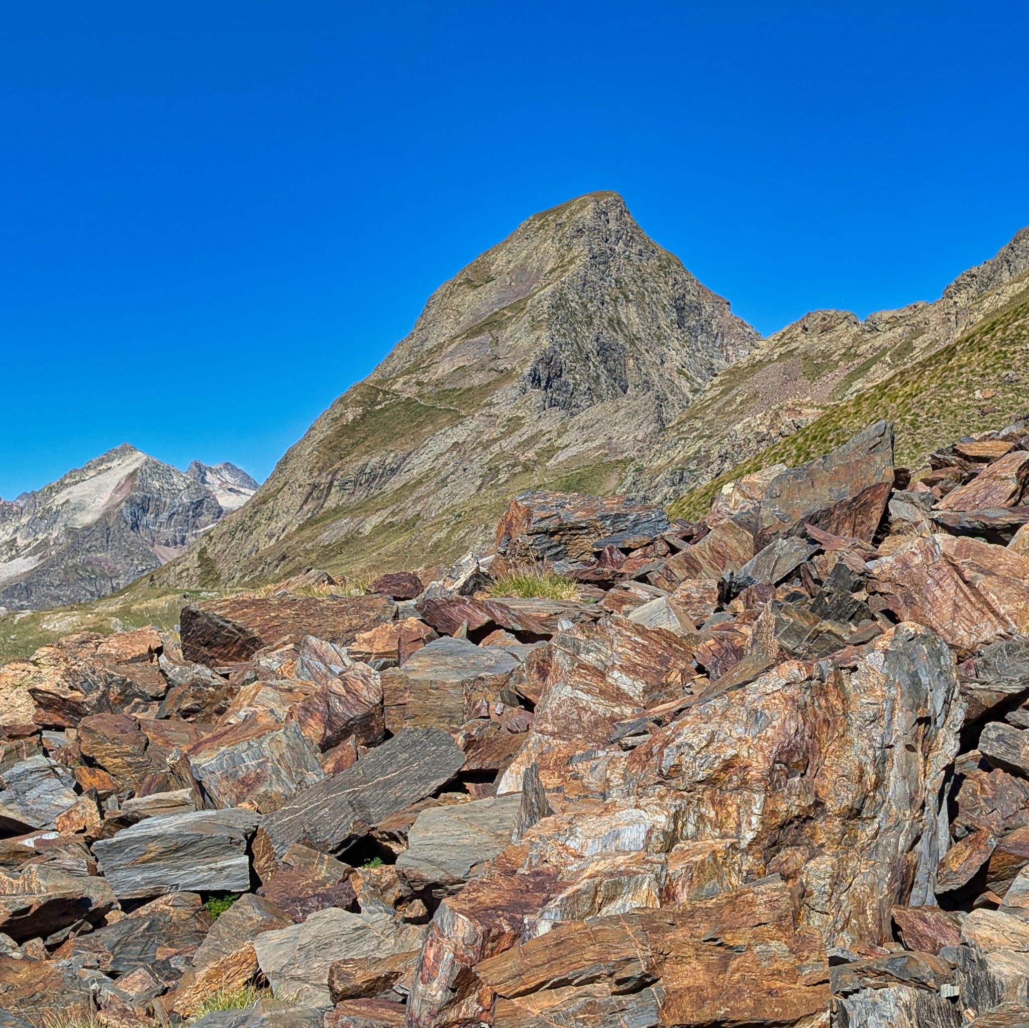 PXL 20250830 085546247