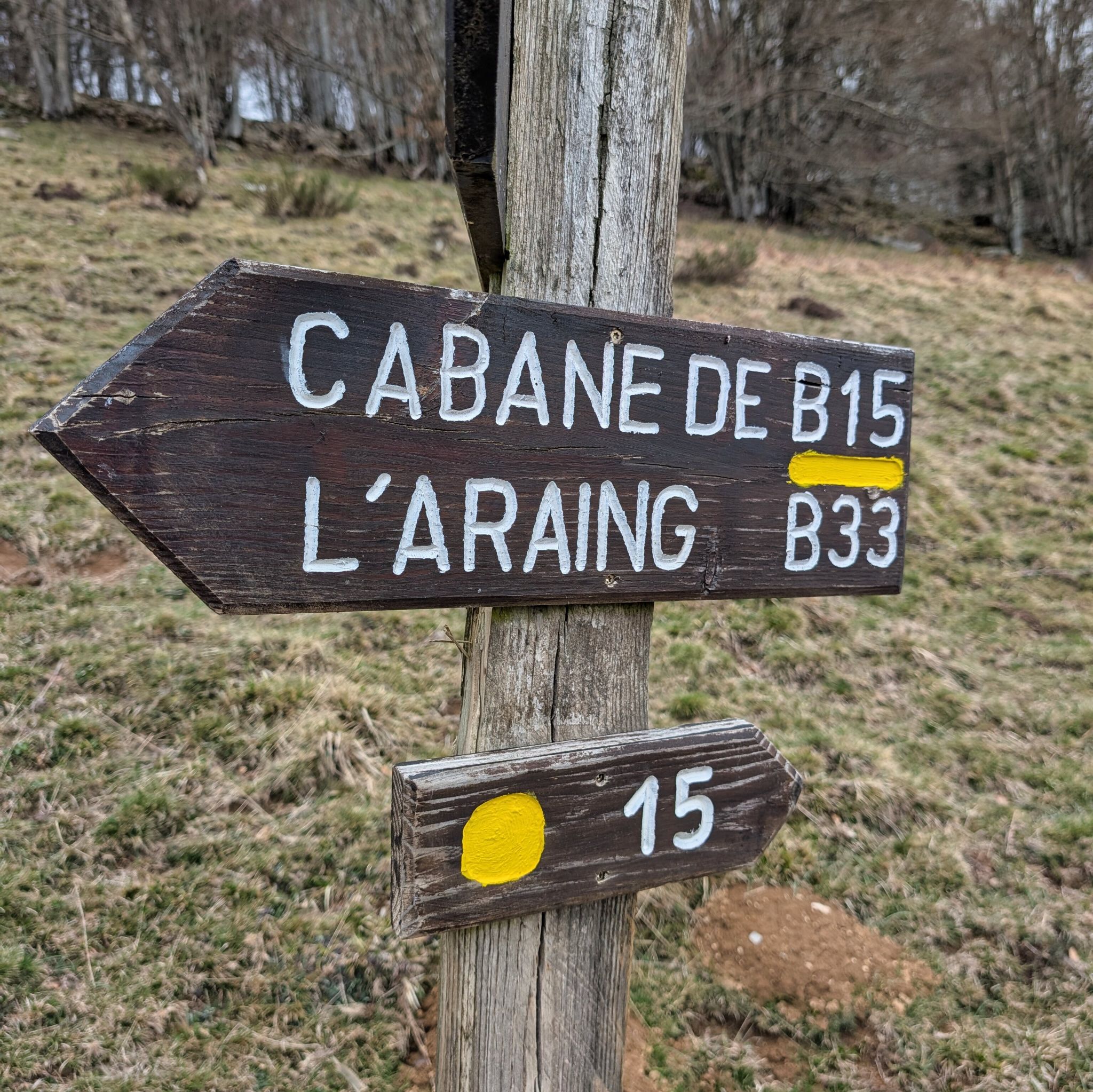 PXL 20260308 125453839