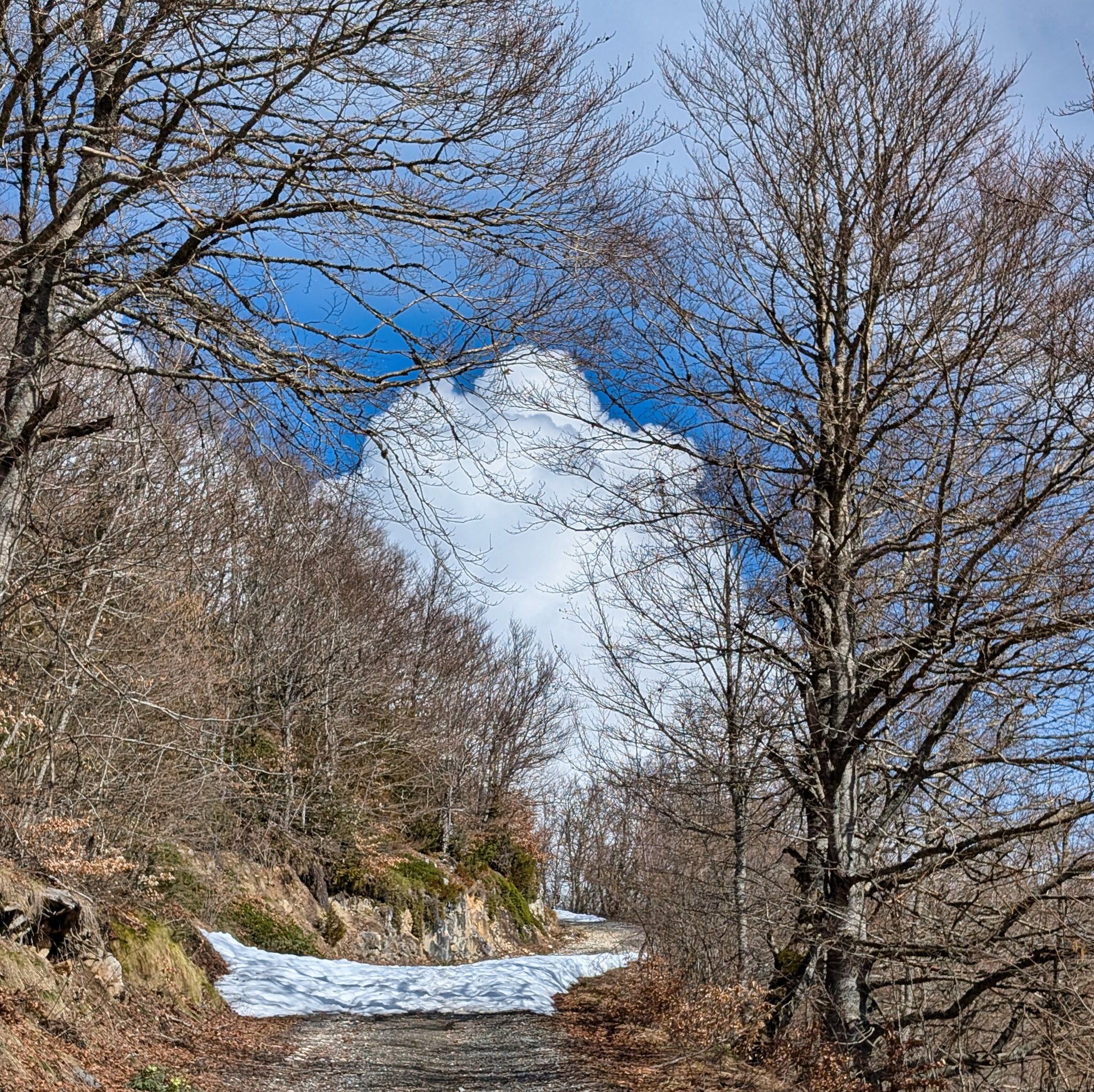 PXL 20260309 105149015.MP