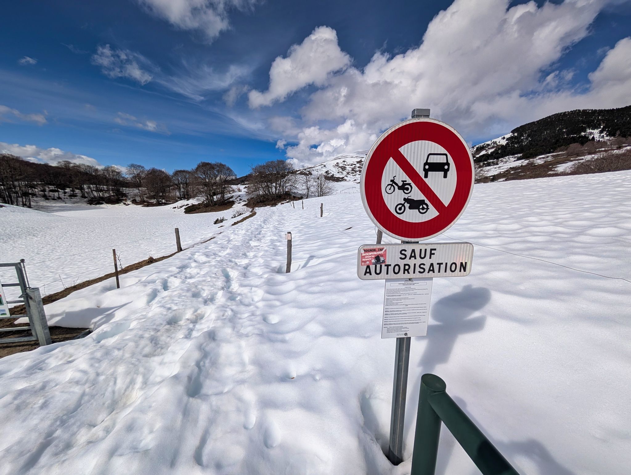 PXL 20260309 111938542