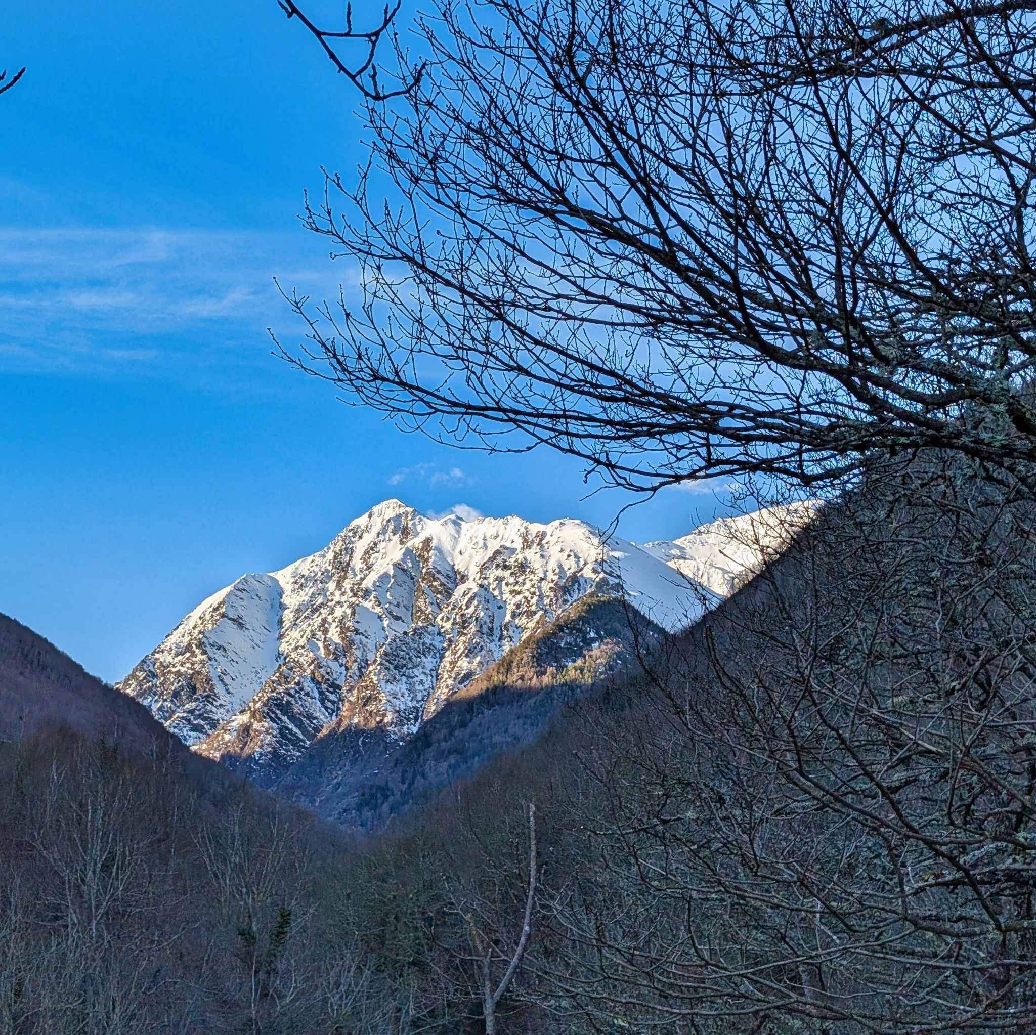 PXL 20260310 075425832