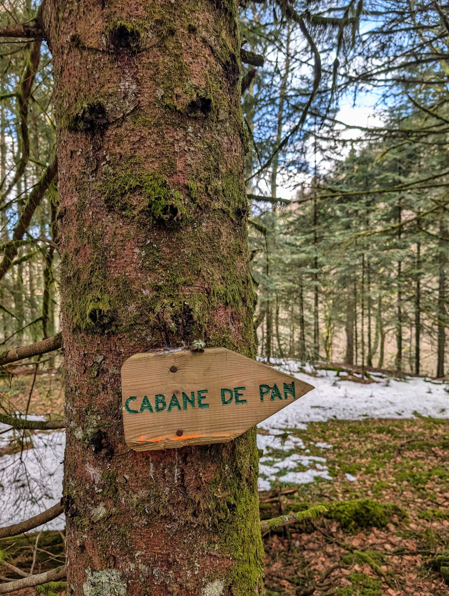 PXL 20260203 112606279