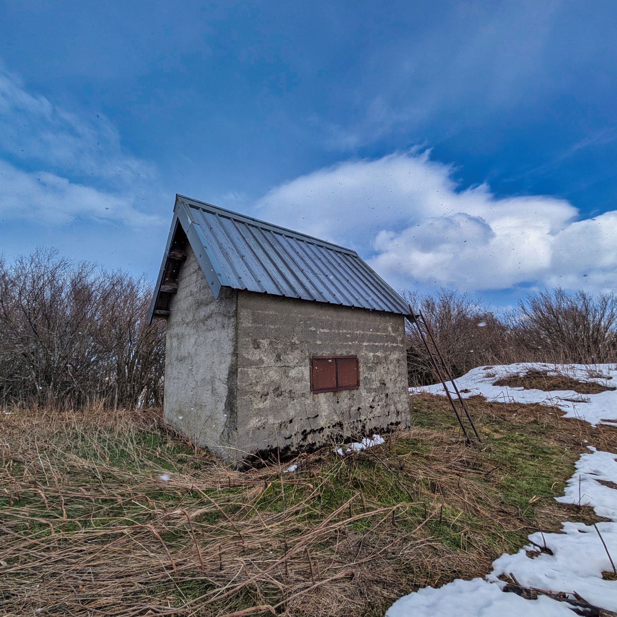 PXL 20260203 122806182.MP