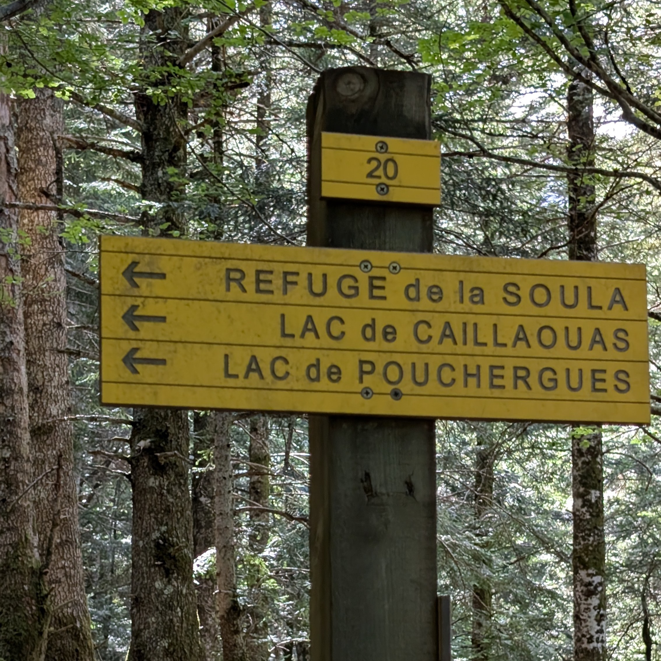 PXL 20260830 141553990
