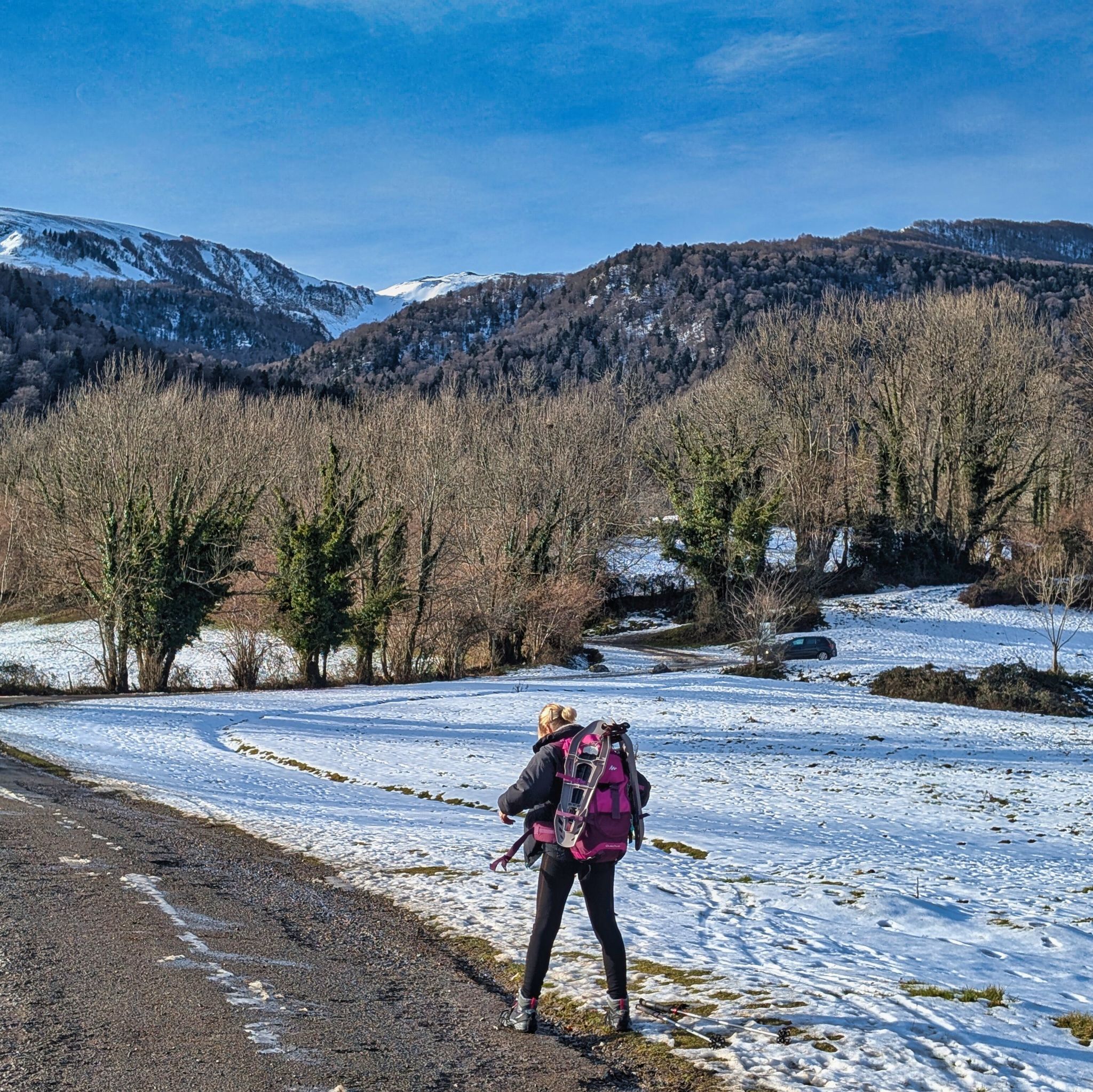 PXL 20260112 093939985