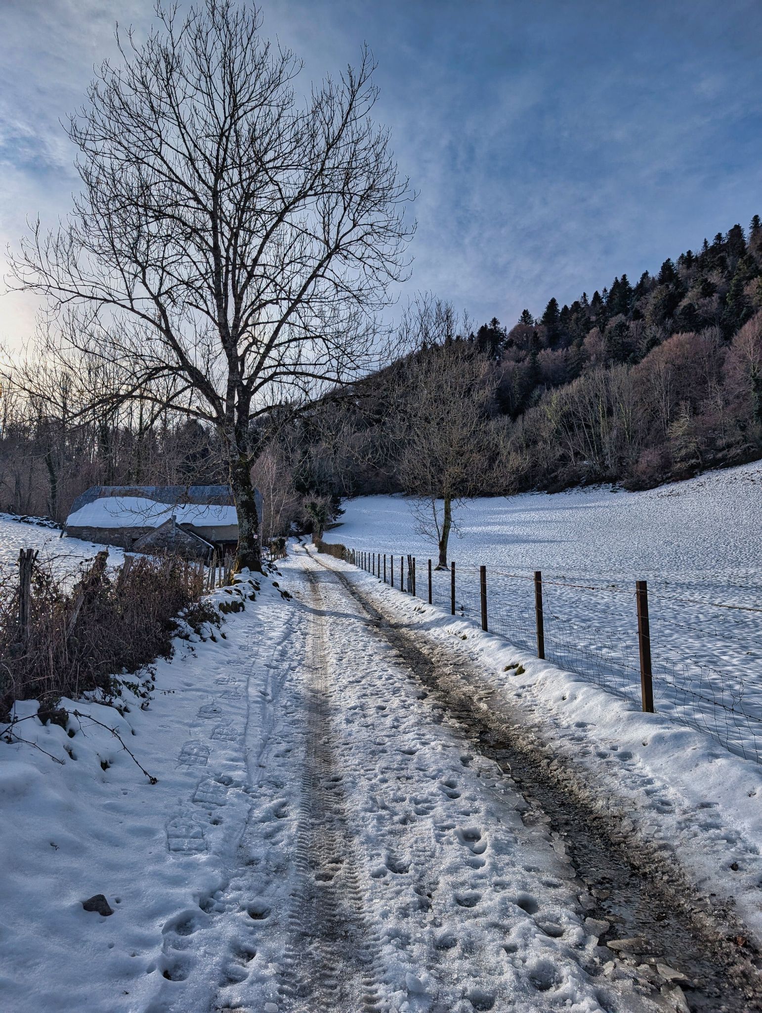 PXL 20260112 095607855.MP