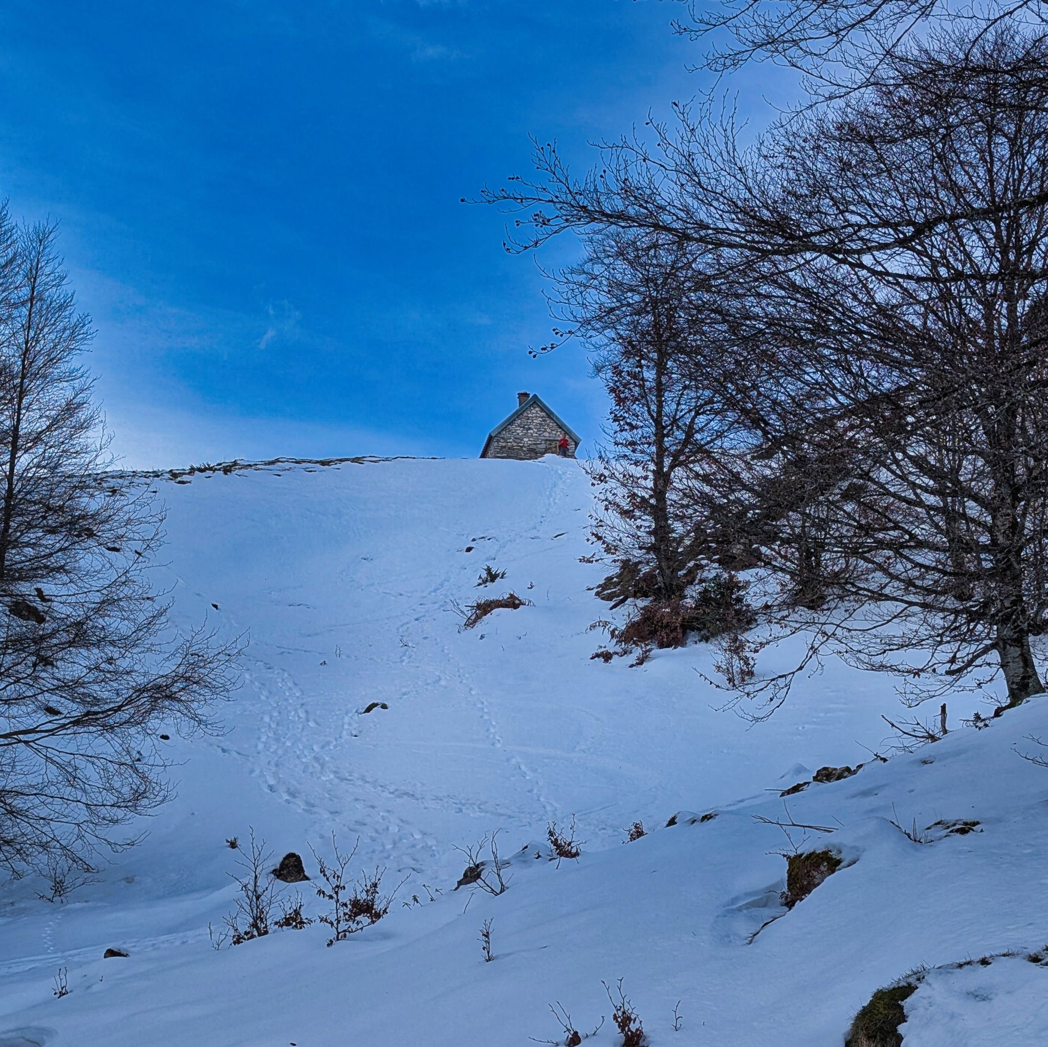 PXL 20260112 111400602