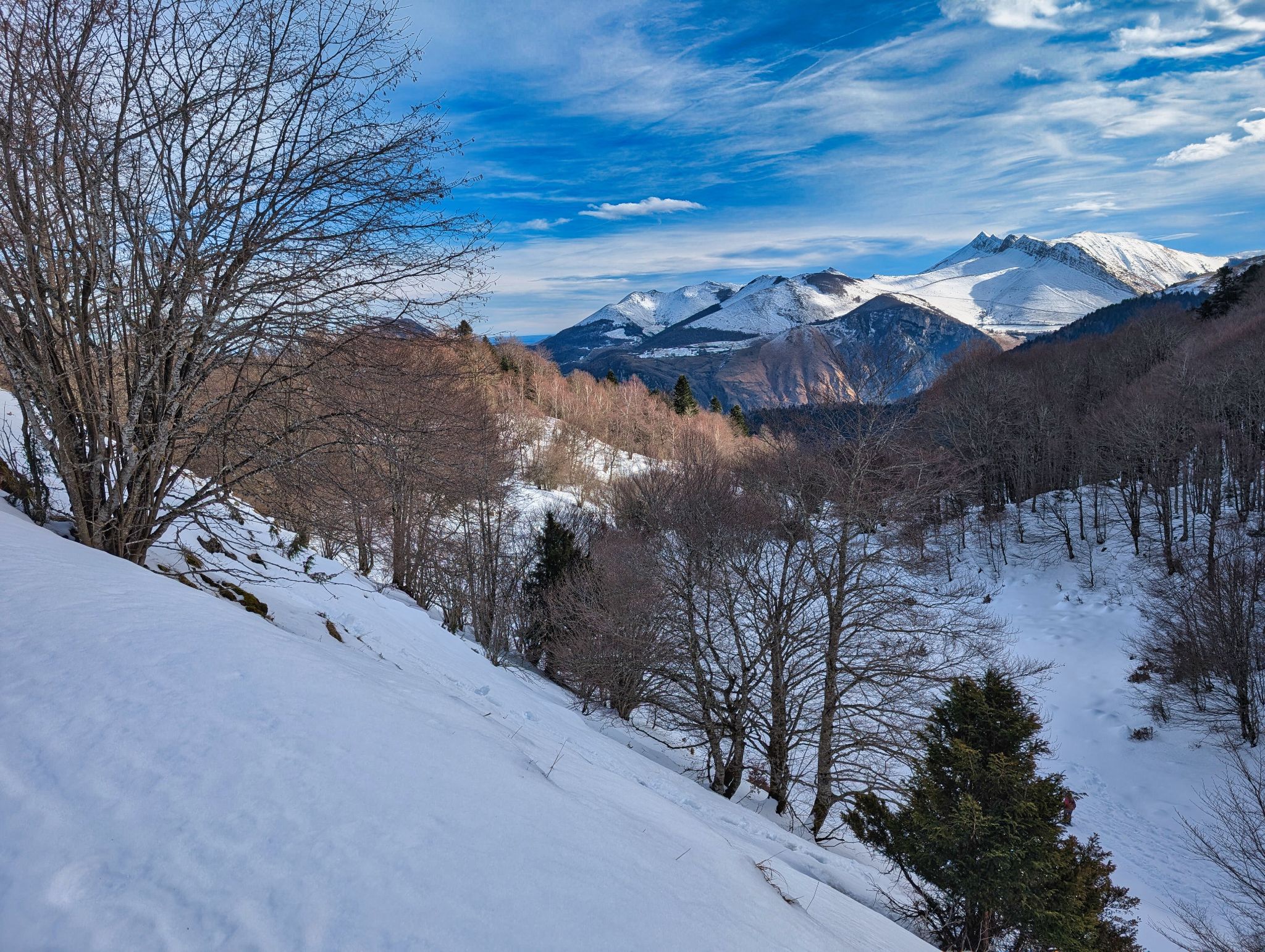 PXL 20260112 111657201