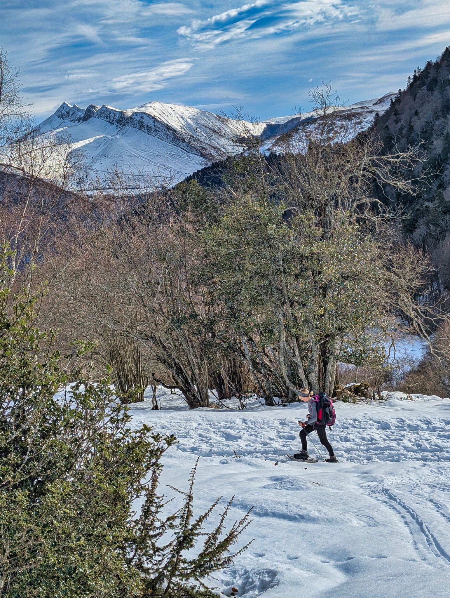 PXL 20260112 112034875