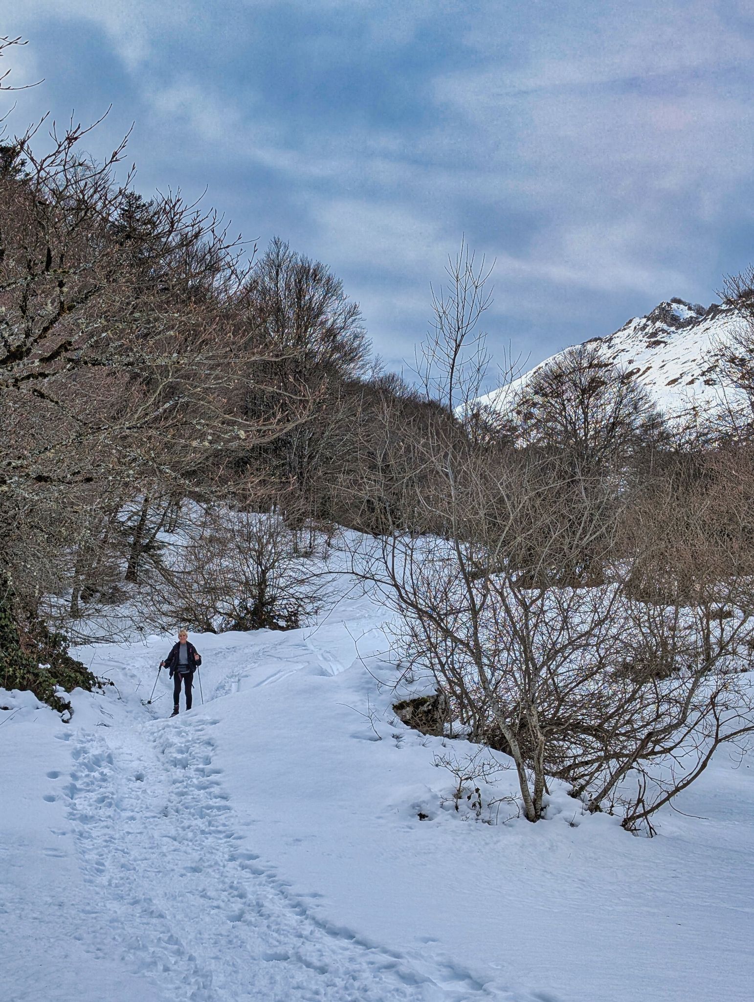 PXL 20260112 132654732