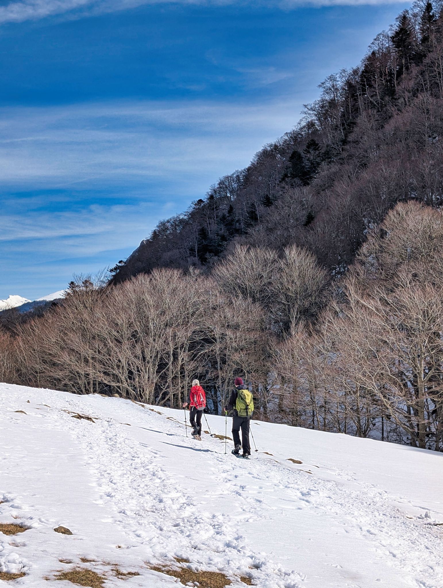 PXL 20260222 123904670.MP