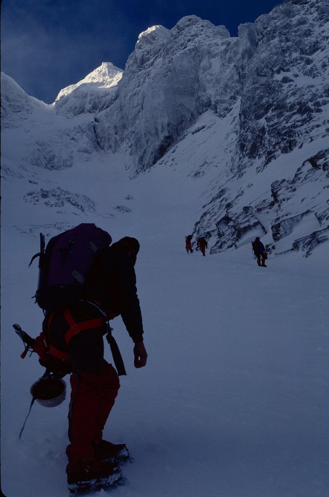 Point s gully 8 1982