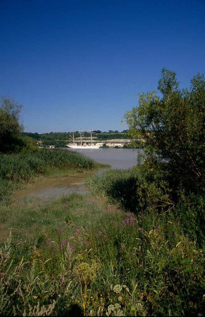 Grands Voiliers Bordeaux 1991