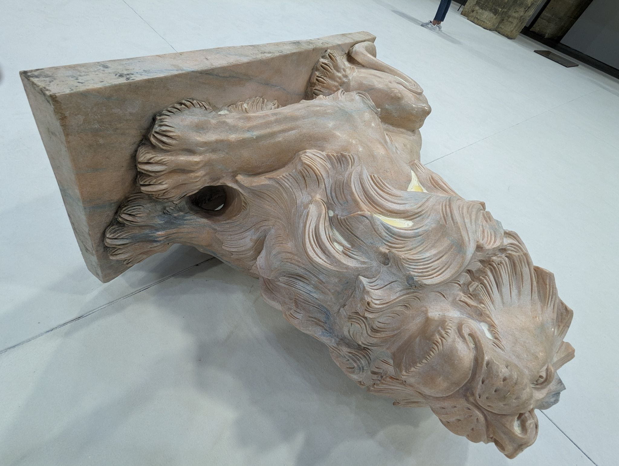 PXL 20240407 145006816