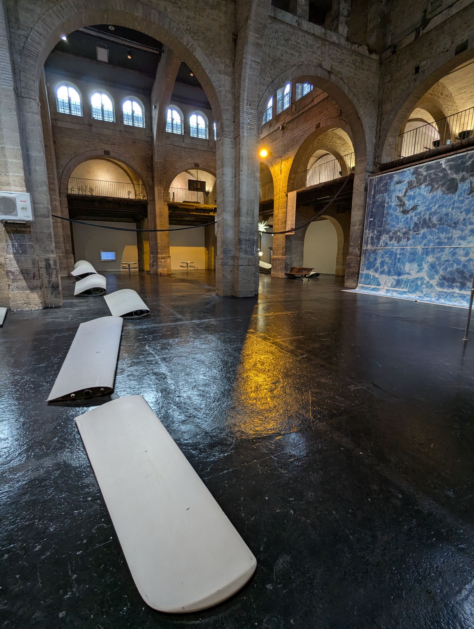 PXL 20241219 120808492