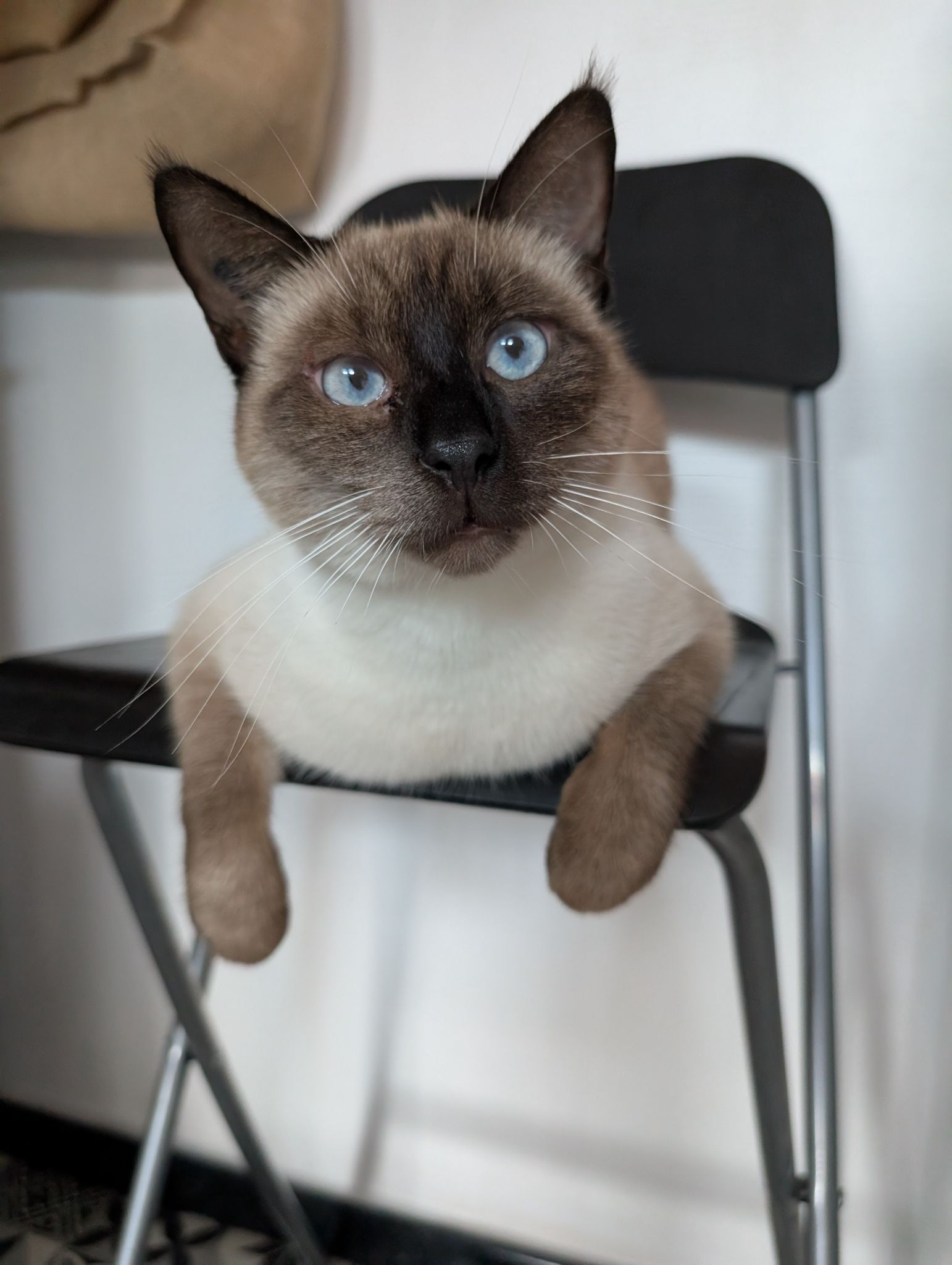 PXL 20251023 114655642.MP