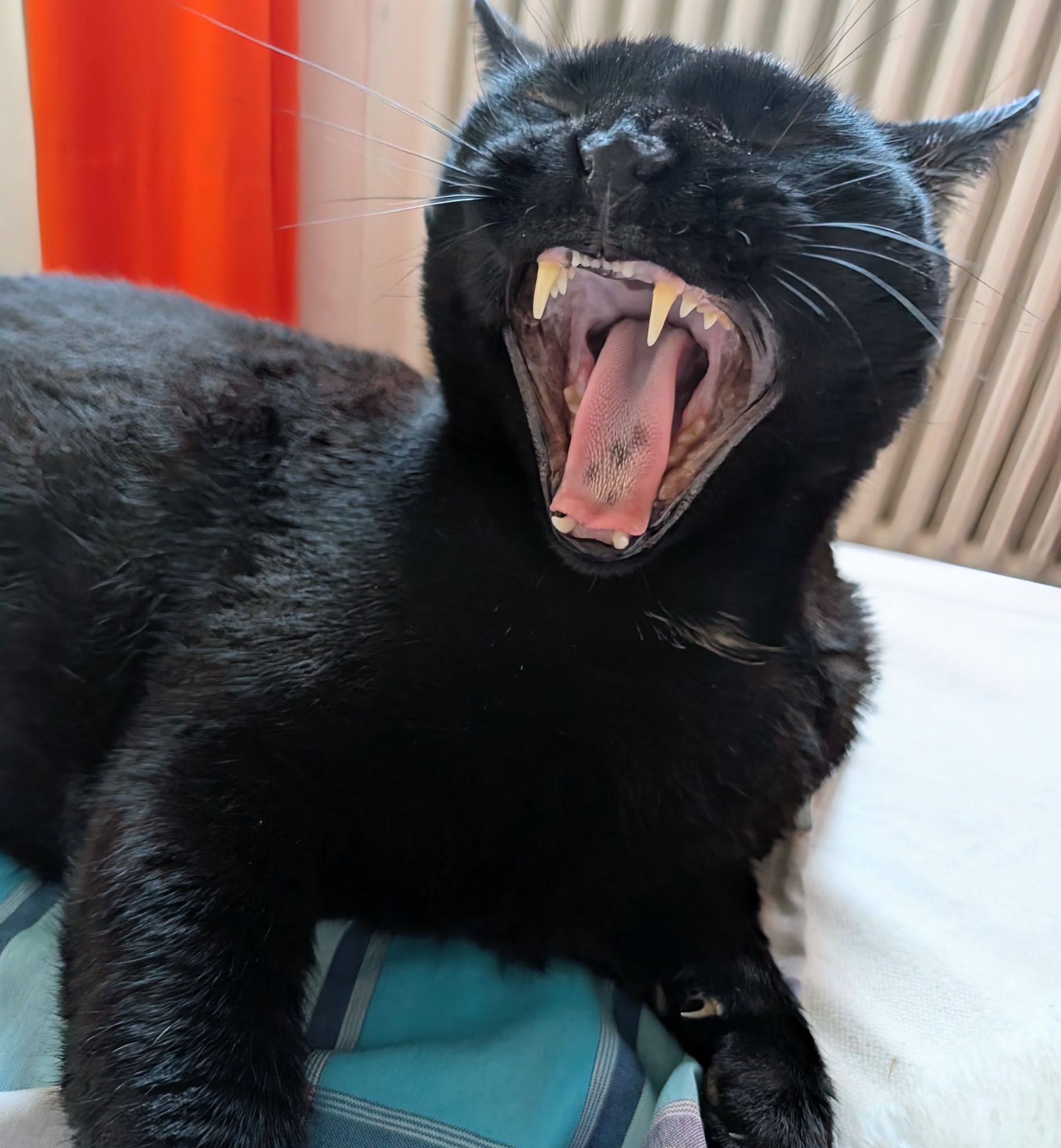 PXL 20260125 134338088.MP~2