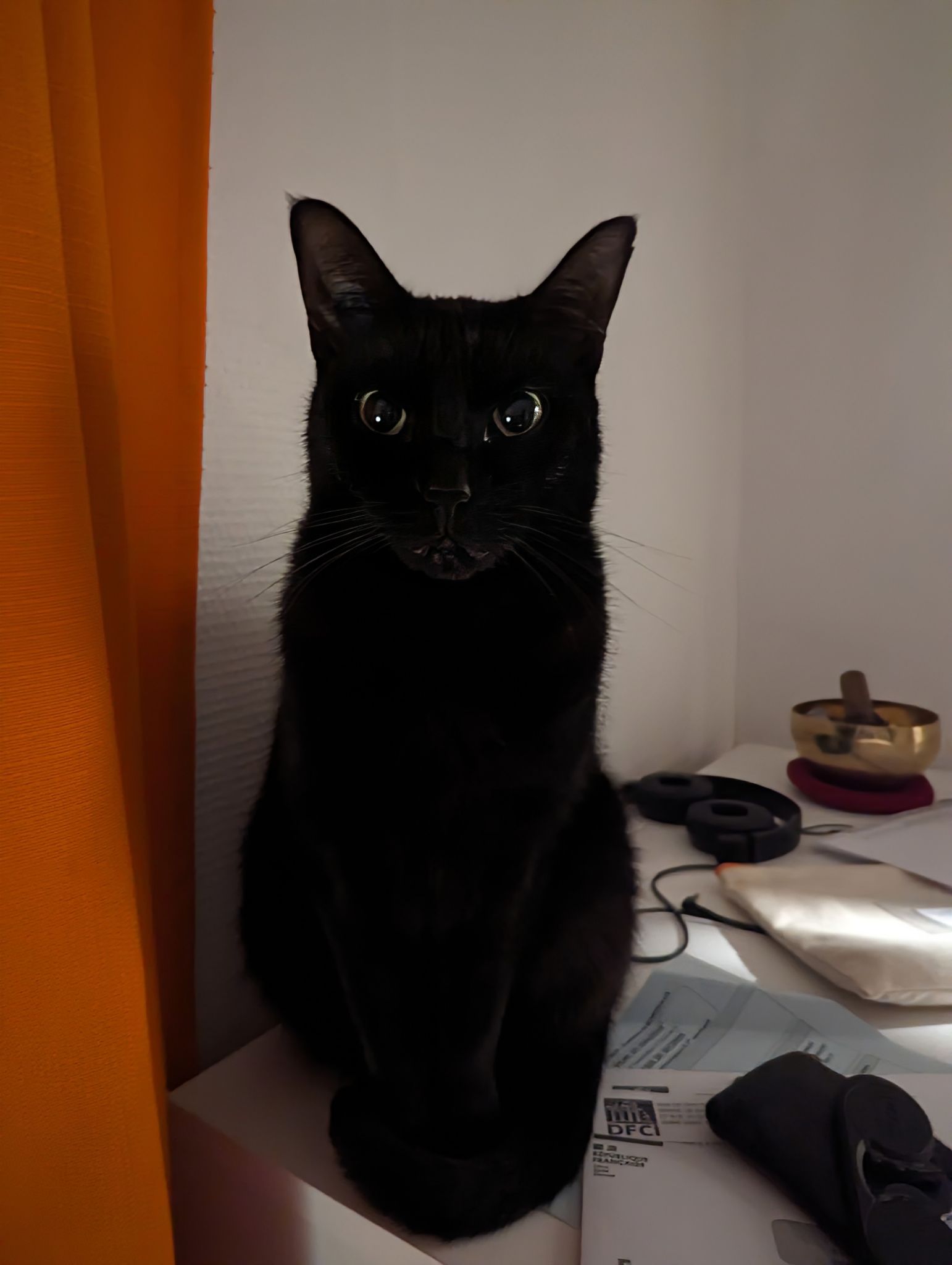 PXL 20240212 065909232~2