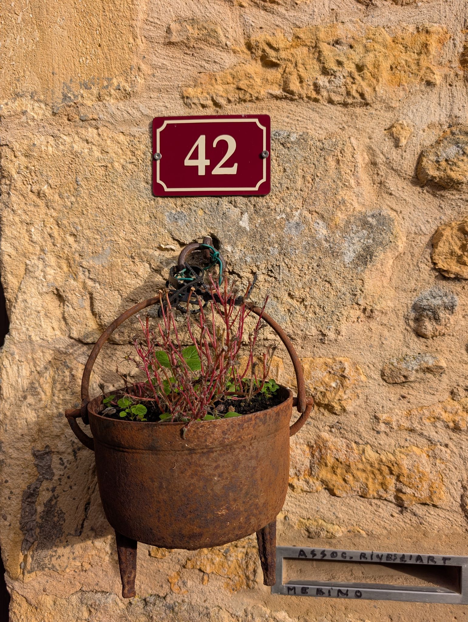 PXL 20251214 105315780