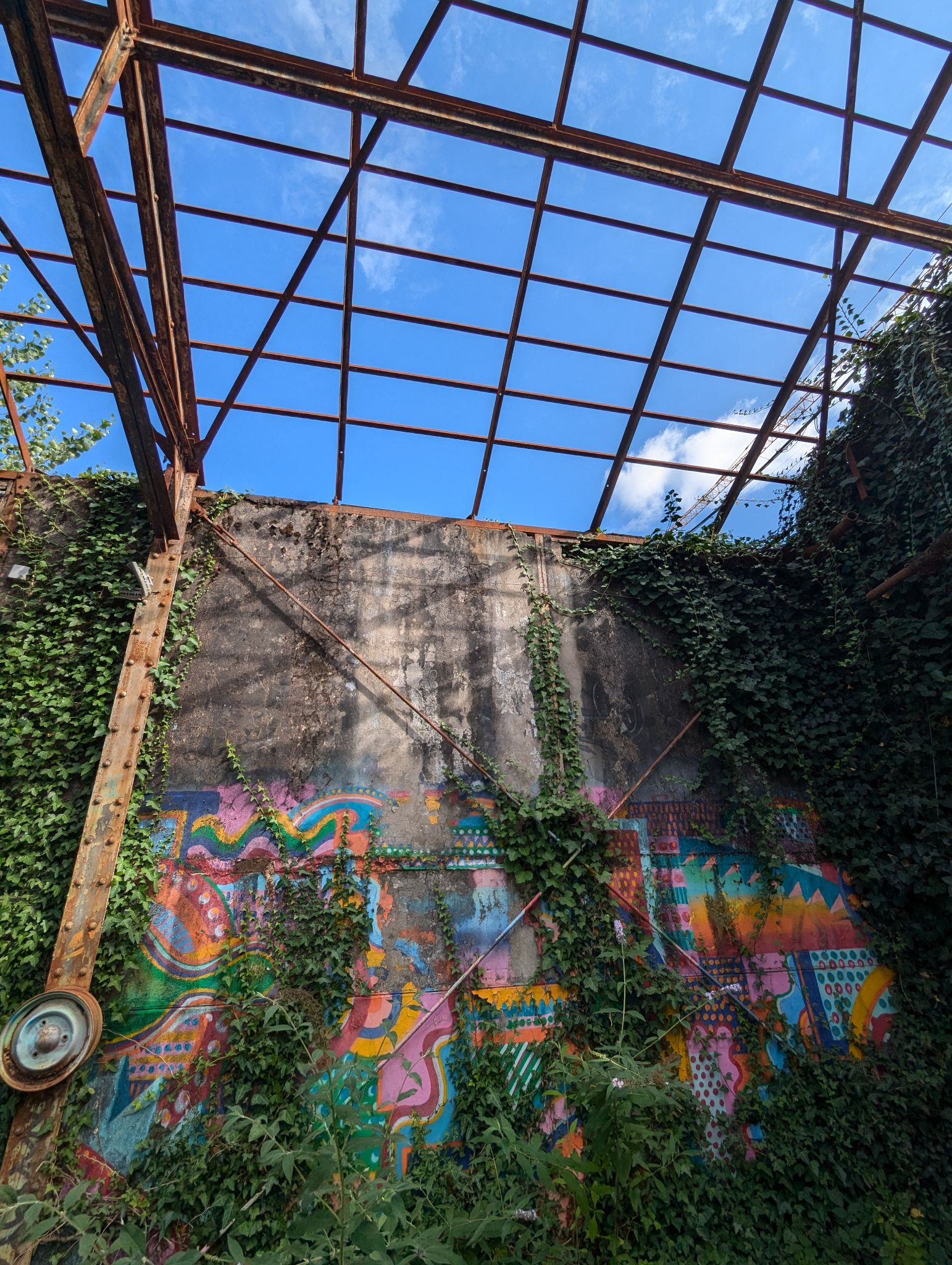 PXL 20240815 153433225