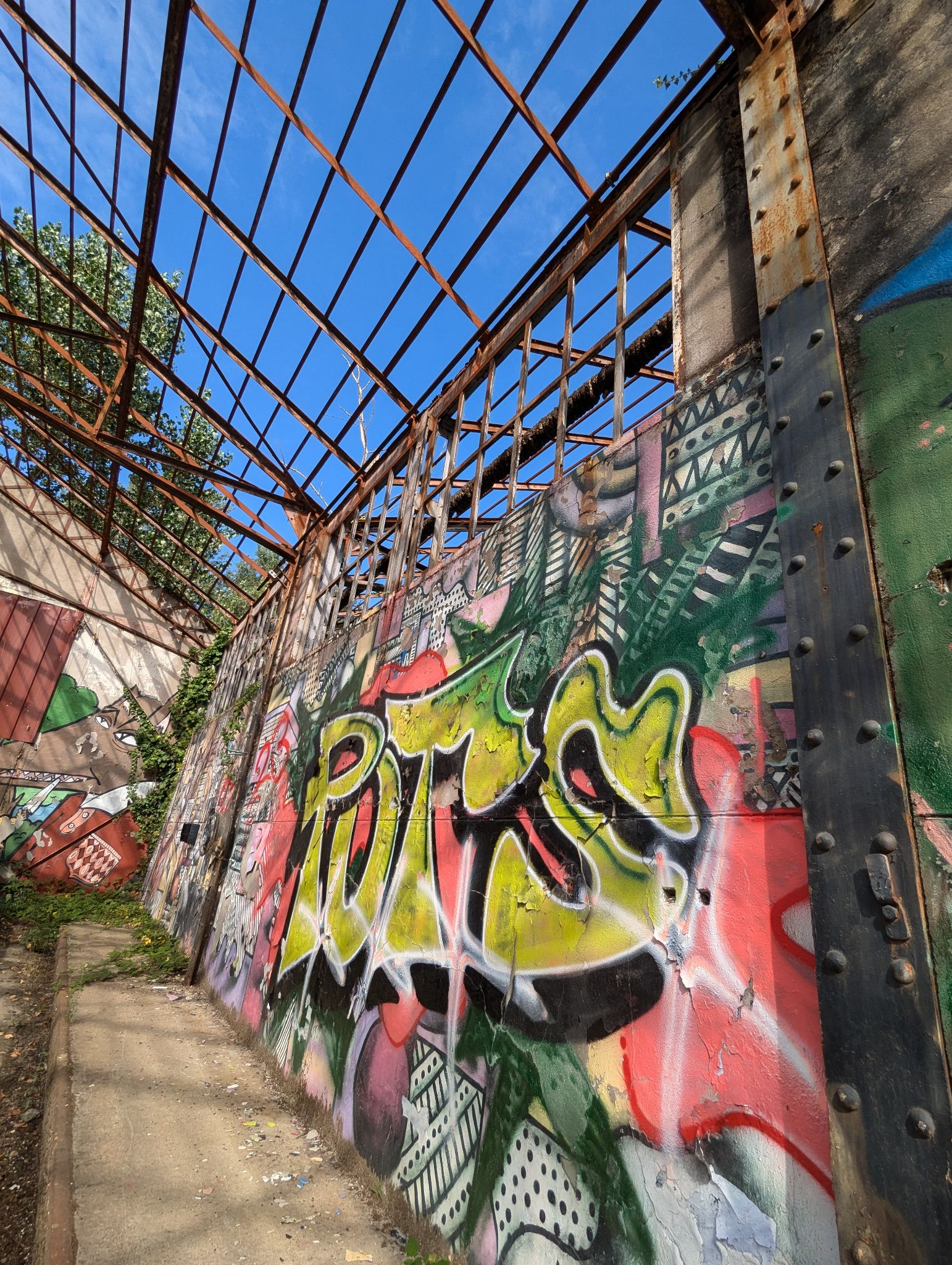 PXL 20240815 153543628