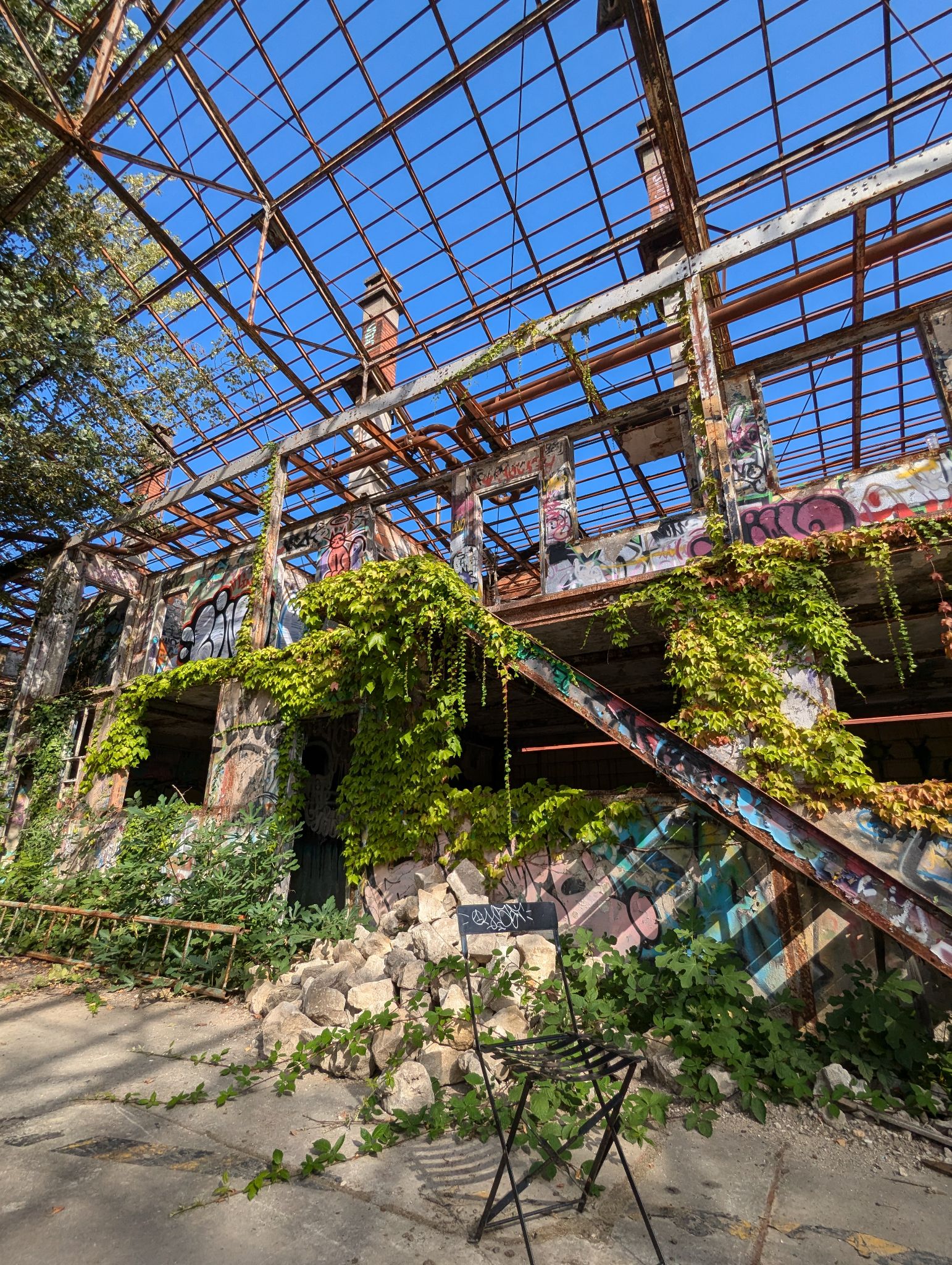 PXL 20240815 153640343