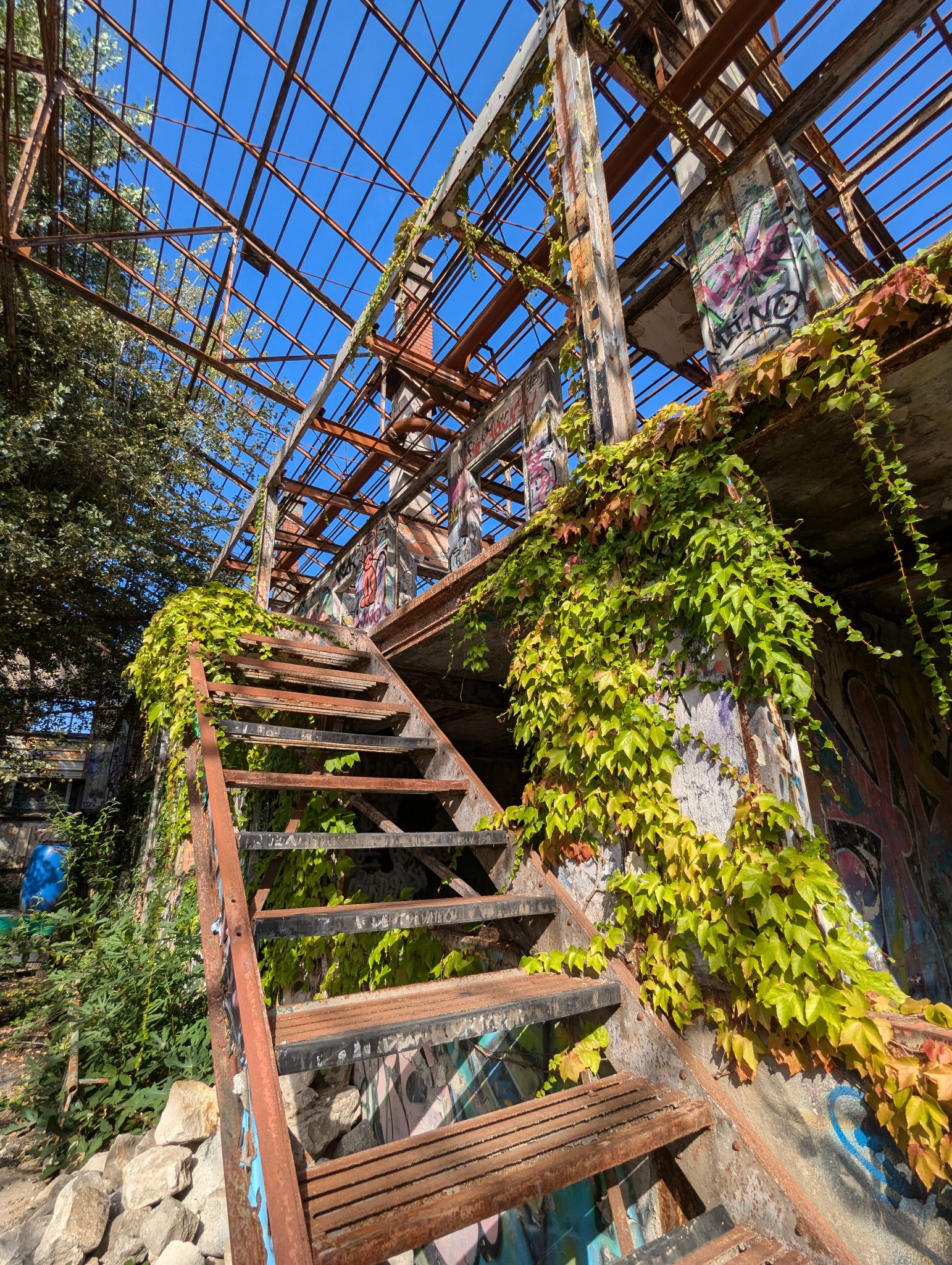 PXL 20240815 153651332